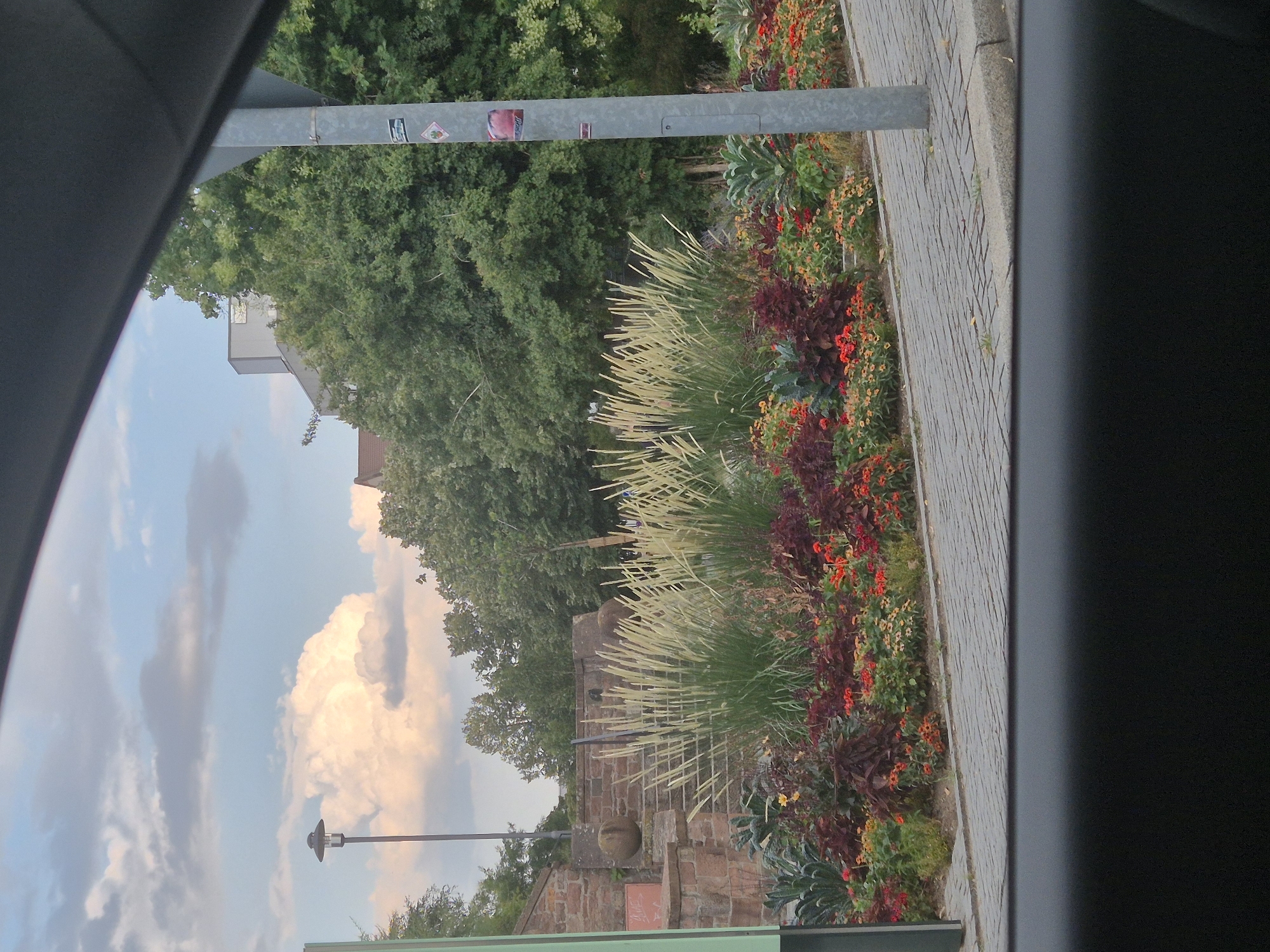 The image shows a street-level view of a planted area with a stone staircase and wall in the background, as seen through a car window. In the foreground, a flower bed is filled with a variety of plants, including tall, feathery grasses, dark red foliage plants, and smaller orange and yellow flowers. Behind the flower bed is a grey paved walkway. To the right, a metal lamppost stands with several stickers on it. In the background, lush green trees and a building are visible. The sky above is partly cloudy with a large, illuminated cloud formation. The scene appears to be in an urban environment, likely during daylight hours.
