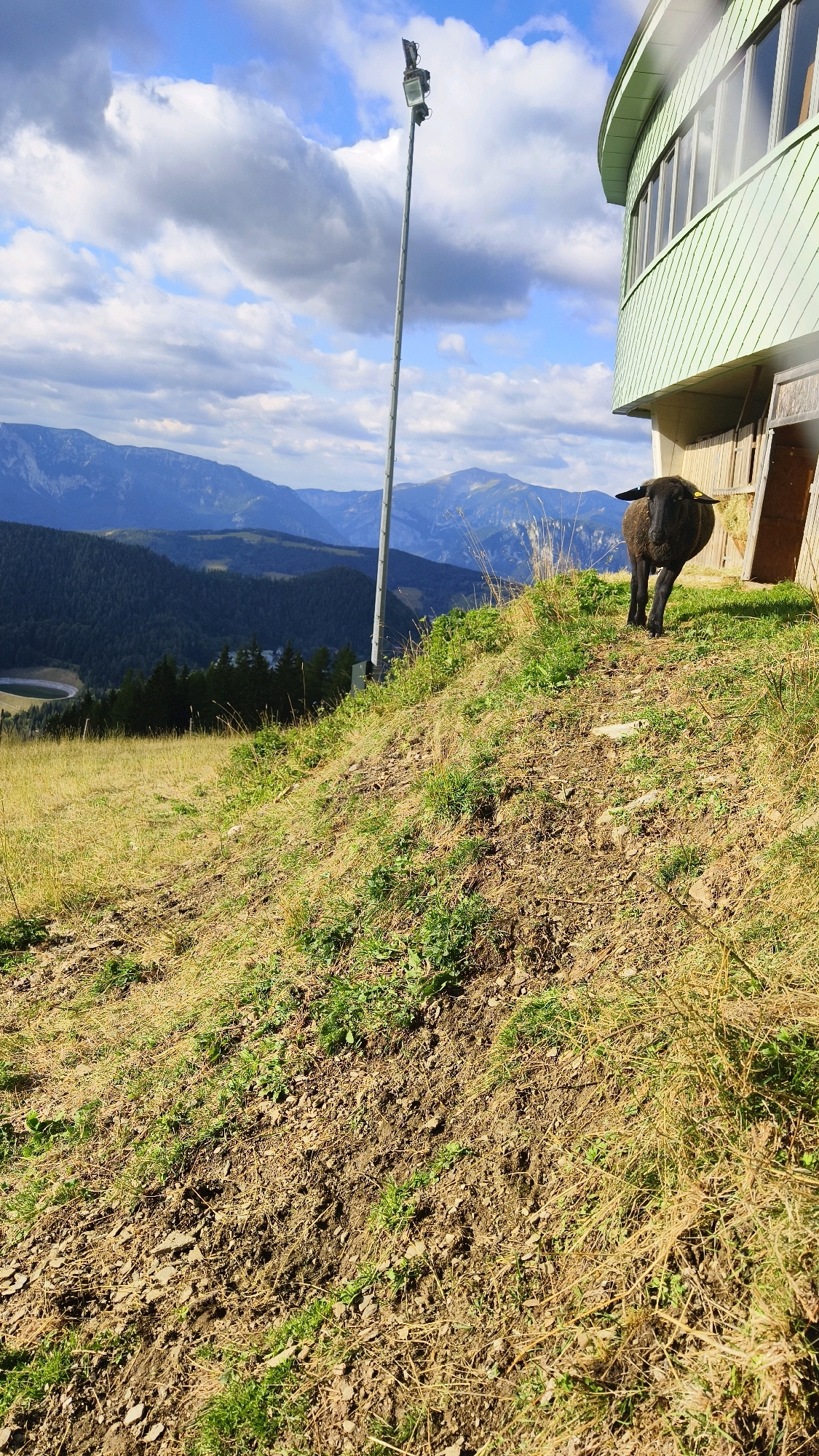 A black sheep stands on a grassy slope next to a light-colored building with a green roof in Semmering, Austria. The sheep is facing the camera with its ears perked. The building appears to be a modern structure with large windows. In the background, there are rolling hills and mountains covered in trees, with a cloudy blue sky overhead. A tall pole with a spotlight is also visible on the slope. The ground is a mix of grass, dirt, and rocks. The scene suggests a rural or mountainous setting, possibly a tourist area or a farm.
