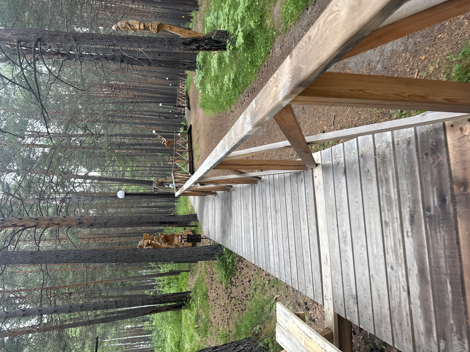The image depicts a wooden boardwalk winding through a pine forest in Savvateevka, Russia. The boardwalk is elevated and has a wooden railing. Along the path, there are several wooden sculptures, including what appears to be a figure climbing a wall and another standing figure. Several lampposts are visible along the path, suggesting it may be used at night. The forest floor is covered in pine needles and green vegetation. In the foreground, a portion of a wooden picnic bench is visible on the left side of the boardwalk. The overall impression is that of a park or recreational area within a natural wooded setting.