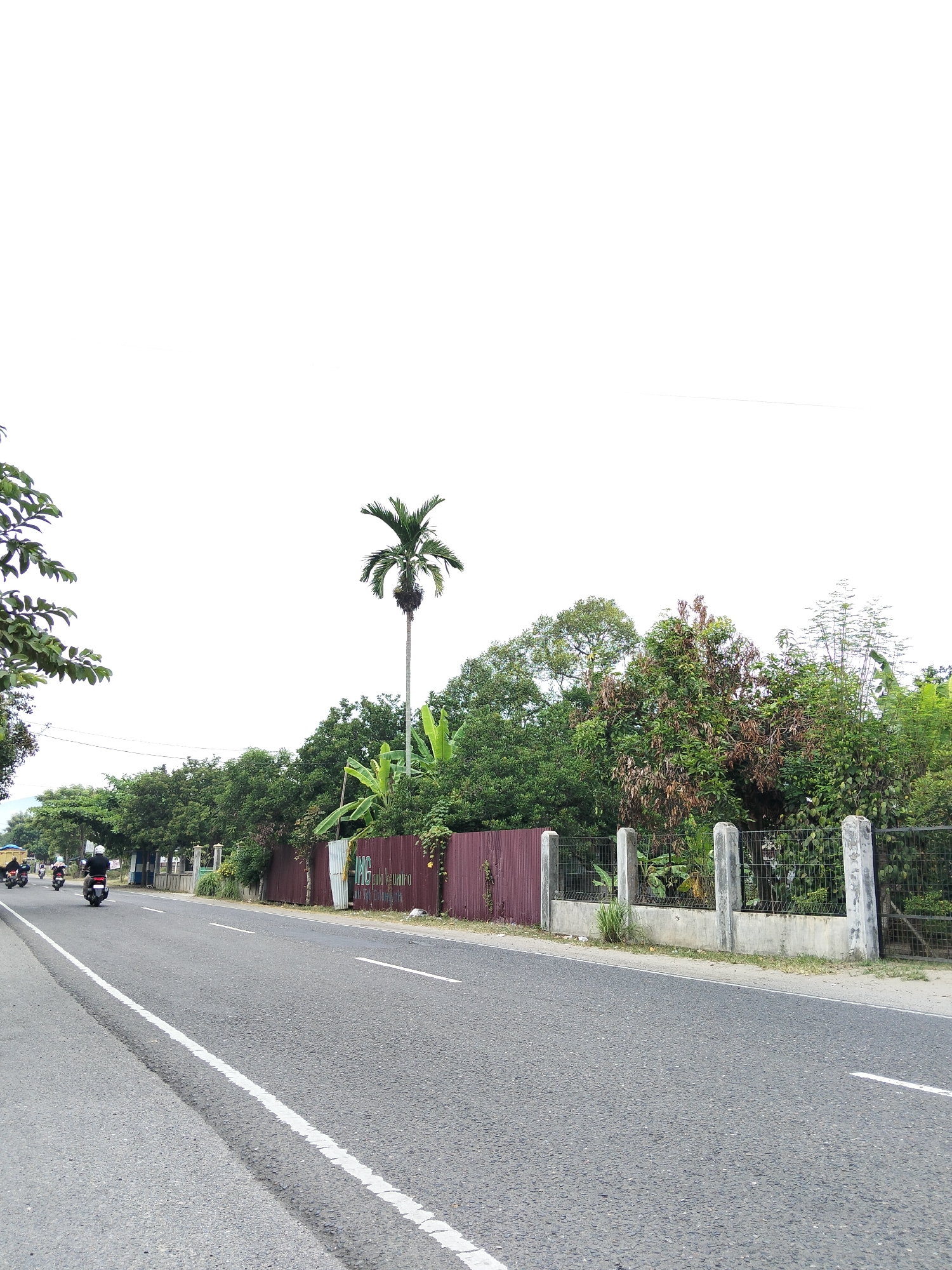 The image shows a two-lane asphalt road in Geulumpangmeujim-Jim, Indonesia, with a white dashed line marking the center and a solid white line on the right edge. On the left side of the road, several motorcyclists are traveling in the same direction. The right side of the road features a rusty metal fence and a concrete wall topped with a wire mesh fence, separating the road from a dense area of trees and vegetation. A tall palm tree stands out amongst the foliage, with banana trees visible near its base. The sky is overcast and bright white, obscuring any potential detail in the upper portion of the image. The overall scene depicts a typical rural or semi-urban roadside environment in Indonesia.