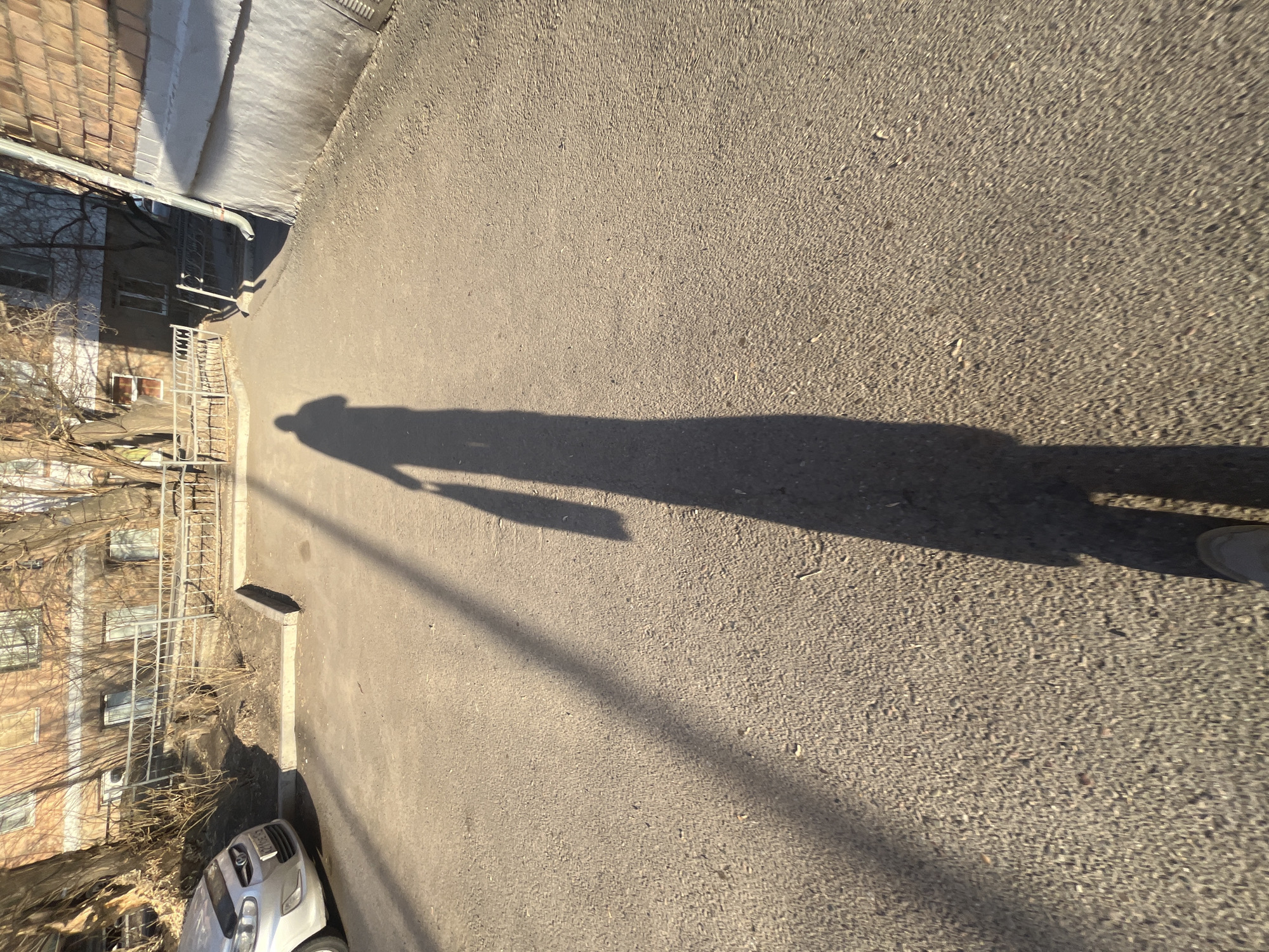 The image depicts an asphalt street with a shadow of a person holding a rectangular object, possibly a briefcase or folder. The shadow is elongated, indicating a low sun angle. Adjacent to the street is a building with a brick facade and a gutter system. A tree with bare branches is visible next to the building. In the lower left corner, a portion of a silver car is visible. The scene appears to be an urban environment in the city of Unknown, Unknown.