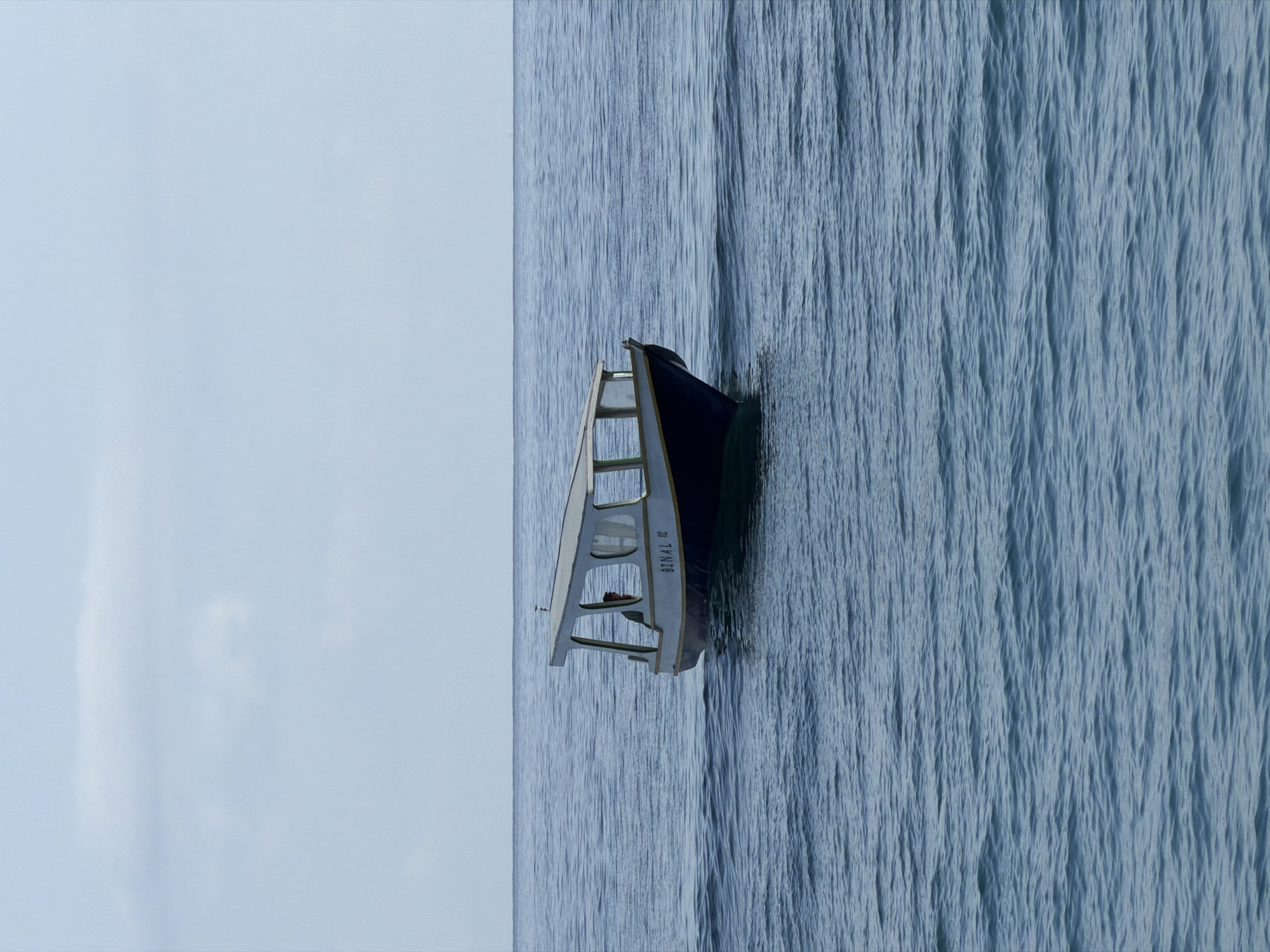 A small, narrow motorboat with a covered canopy is cruising on a calm, blue body of water. The boat has a dark blue hull with a white trim and a yellow stripe. The words "BINAL 012" are visible in black lettering on the side of the boat. One person, wearing a light-colored shirt, is visible inside the boat, seated behind a steering wheel. The water is slightly rippled, indicating a gentle movement. The sky above is pale blue with a few faint clouds. The horizon is visible in the distance, separating the water from the sky. The image appears to be taken from a slightly elevated perspective, looking towards the boat.