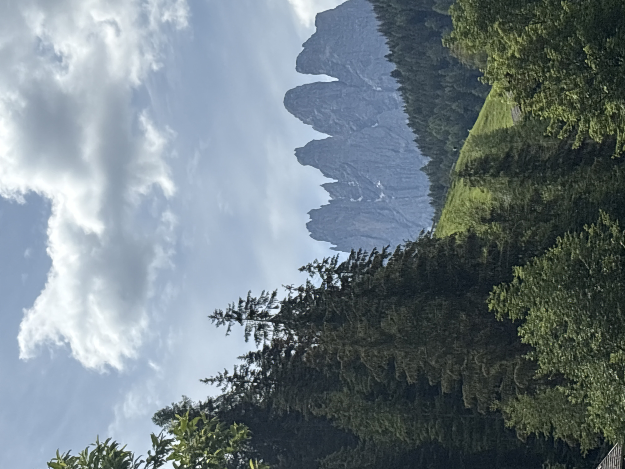 The image depicts a majestic mountain range in the distance, characterized by jagged, rocky peaks. In the foreground, a dense forest of evergreen trees covers a sloping hillside. The sky is partly cloudy, with soft white clouds against a pale blue backdrop. A lush green meadow separates the forest from the mountains, and a winding path is visible on the meadow. The overall scene is one of natural beauty and tranquility.