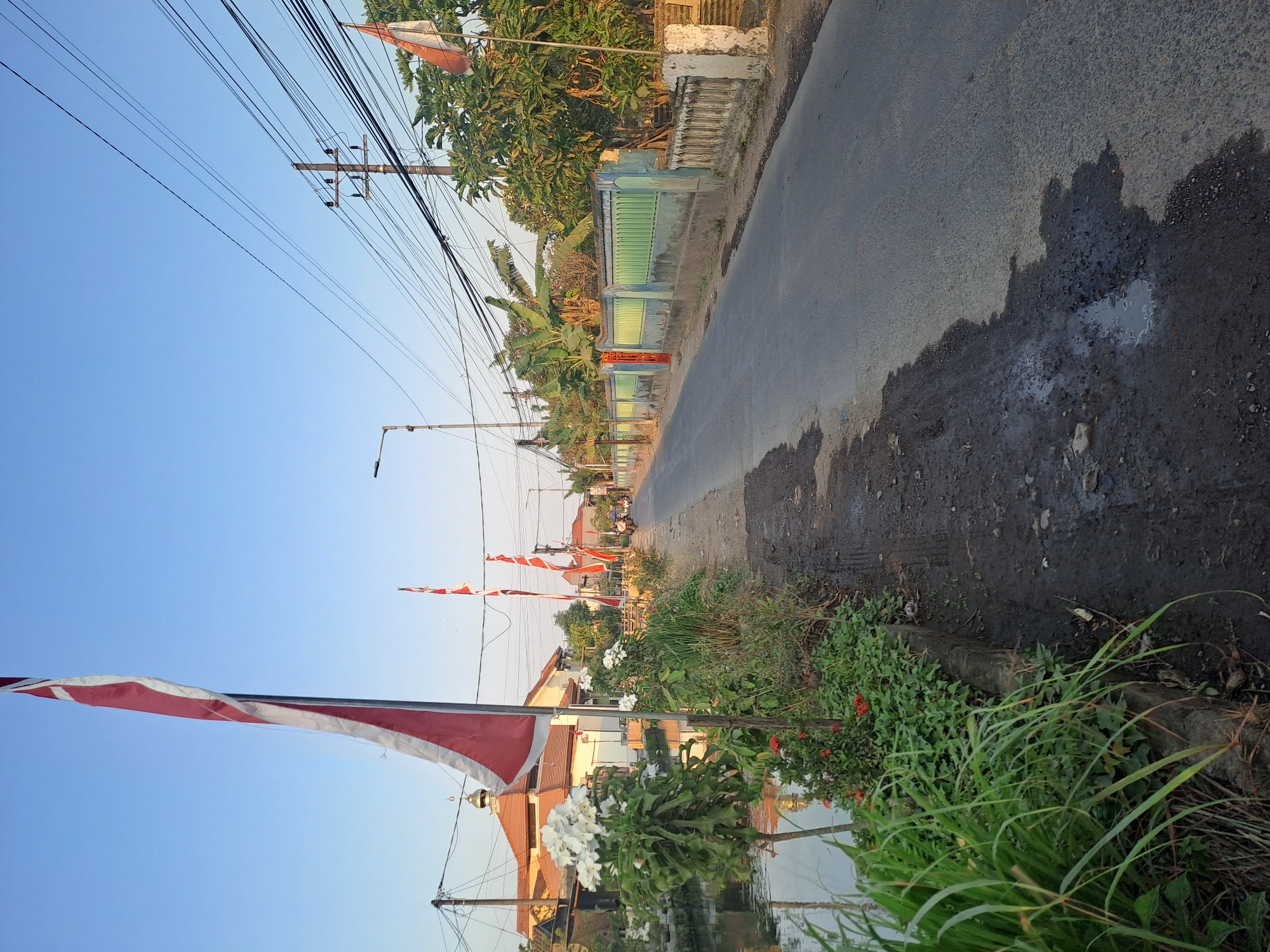 The image shows a rural street in Pademonegoro, Indonesia, bathed in the warm light of what appears to be early morning or late afternoon. The street is paved with asphalt and has a slight sheen from what could be moisture or oil patches. On the left side of the street, a narrow canal or drainage ditch runs alongside, with lush green vegetation, including tall grass and flowering bushes, growing at its edge. A large red and white flag, likely the Indonesian flag (Merah Putih), is prominently displayed on a pole, its fabric rippling slightly. Behind the vegetation, a building with a distinctive dome, possibly a mosque, is visible. Further down the street, several more red and white flags are seen on poles.
The right side of the street features a textured concrete fence, some sections painted green and others white, with decorative elements. Beyond the fence, trees, including what appear to be banana trees, are visible, with dense foliage. Overhead, a network of electrical wires crisscrosses the sky, supported by utility poles. The sky is a clear, pale blue, devoid of clouds. The overall impression is one of a tranquil, perhaps slightly weathered, residential or village setting. No people are clearly visible or engaged in any specific actions in the frame, though the presence of a street suggests it is a populated area.