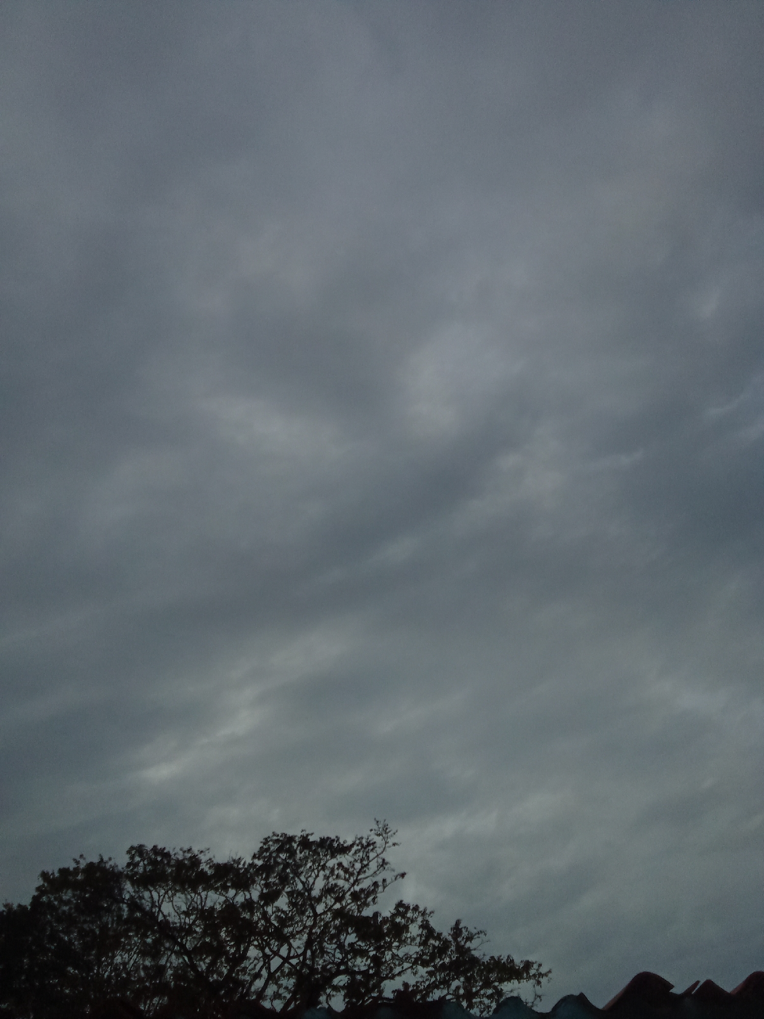 The image displays an expansive view of an overcast sky, dominated by various shades of grey clouds that stretch across the entire frame. The clouds appear dense and uniform, suggesting a heavily clouded day. In the lower portion of the image, the dark, silhouetted crowns of trees with their intricate network of branches are visible, forming a prominent dark mass against the grey sky. To the bottom right, a segment of a dark, reddish-brown corrugated roof is partially seen, indicating the presence of a building below the line of sight.
There are no people or discernible activities taking place; the scene is static, focusing on the sky and the natural and man-made elements at the horizon. The heavy cloud cover suggests an overcast weather condition, possibly indicating an impending rain shower or simply a day without direct sunlight. The lighting is subdued, contributing to a muted and possibly melancholic atmosphere. The scene is consistent with an outdoor shot from a residential or vegetated area, looking up towards the sky, potentially in Juan Griego, Venezuela, as indicated by the context. No text is visible in the media file.