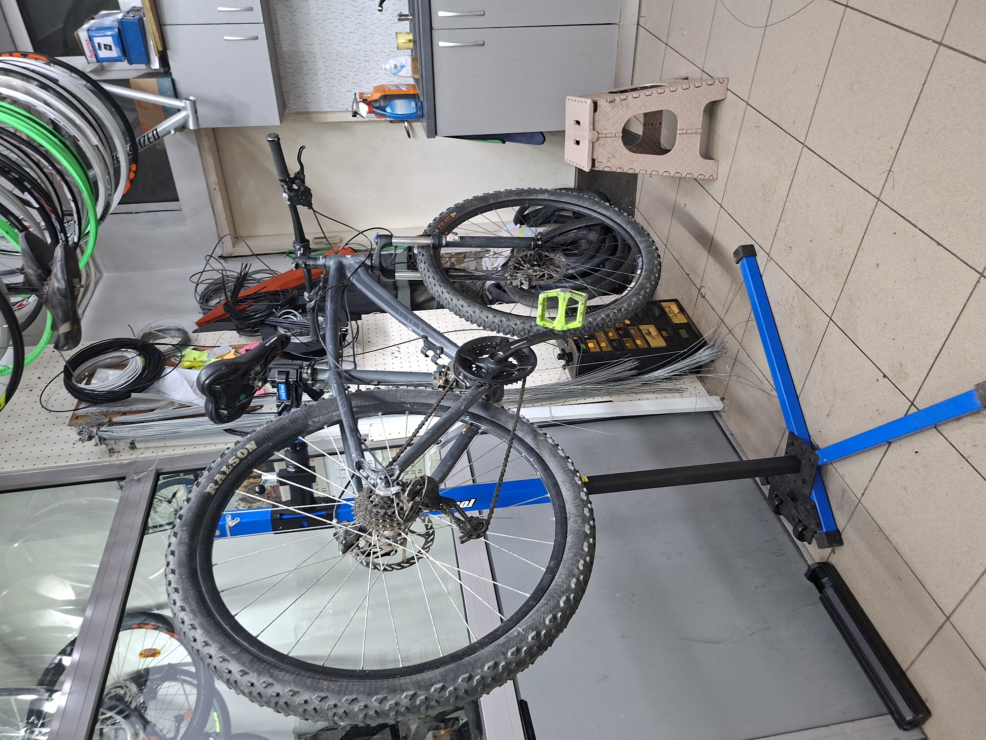 The image shows a gray mountain bike mounted on a blue and black repair stand, likely inside a bicycle repair shop. The bike's tires are knobby, and one pedal is bright green. Multiple bicycle wheels are visible, stacked near a window on the left side of the frame. Cabinets and shelves with various items are visible in the background. The floor is tiled, and a foldable stool is nearby. The location in Gabrovo, Bulgaria is not discernible from the image.