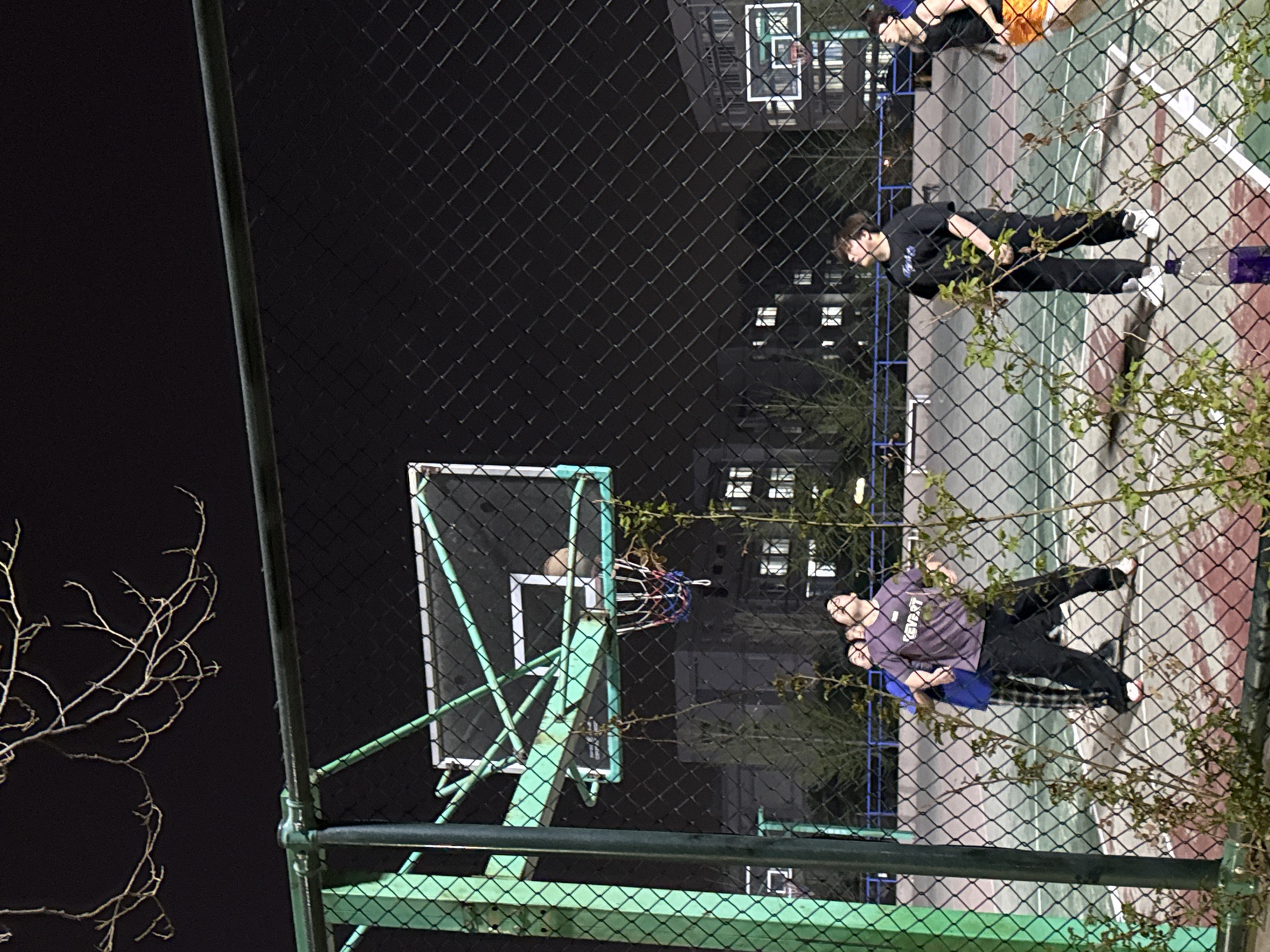 A nighttime scene at a fenced basketball court with people present, likely in Zhongtun, China, is captured. The composition is partially obstructed by a chain-link fence. On the court, there are at least two individuals, one wearing a black shirt and black pants, and the other in a purple shirt and black pants. A basketball hoop is visible on the left with a ball seemingly in the net. Behind the fence, there are buildings with lit windows. A bare tree branch is visible in the lower left. The court itself is painted with a combination of green, red, and white areas.