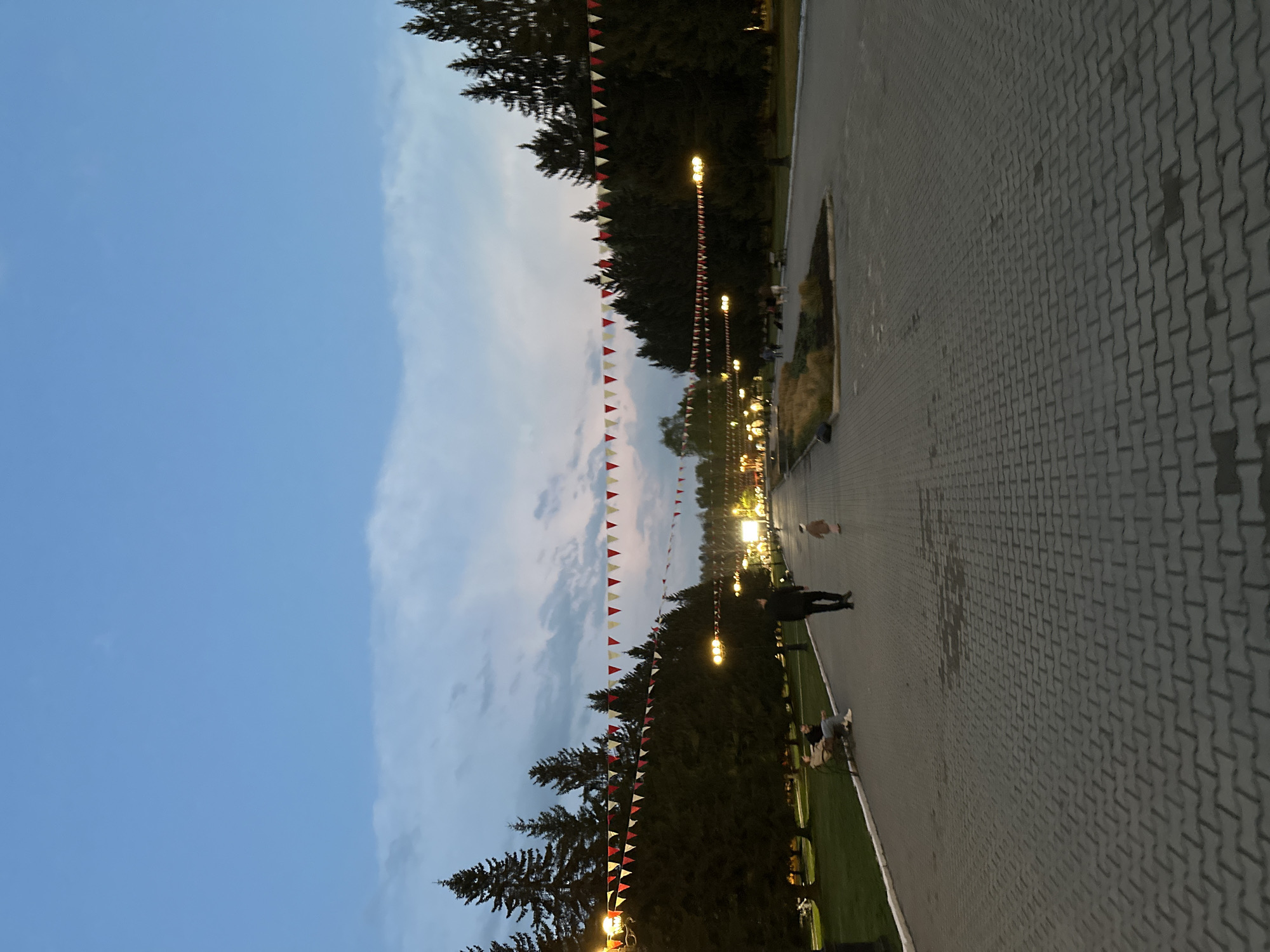 The image shows a pathway in what appears to be a park in Yekaterinburg, Russia, lined with trees and decorative flags. The sky is a dusky blue with some clouds. The pathway is paved with interlocking grey bricks and has lampposts lining it. Several people are visible on the path and adjacent grassy areas. A person is walking, another is standing near a bench. A small dog is walking. The scene is illuminated by the lampposts, suggesting it is dusk or evening. The park is decorated with triangular flags strung between the trees.