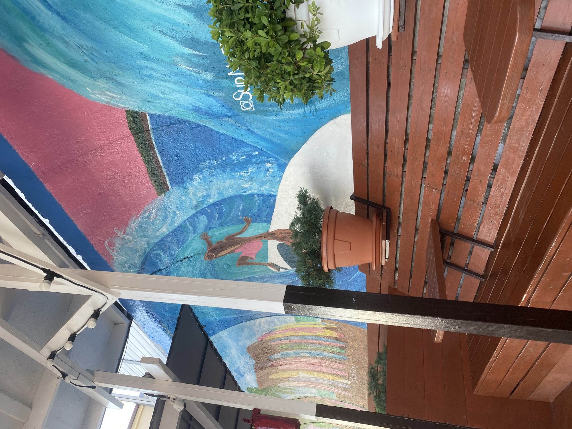 This image shows a vibrant mural painted on a wall, depicting a stylized surfing scene. In the foreground, a wooden deck with brown planks is visible, with a terracotta pot containing a small evergreen tree placed on it. Above the mural, a white structure with string lights and exposed beams suggests an outdoor covered area, possibly a cafe or a patio. The mural itself is dominated by blues, representing water, with a figure in pink shorts appearing to surf or dive. Pink and green abstract shapes are also present in the mural. Below this, another section of the mural shows a stack of colorful layers, resembling a cake or a geological formation. The scene appears to be outdoors, under daylight, possibly a warm and sunny day, given the bright colors of the mural and the clear sky indicated by the lighting. The location context is Sochi, Russia. Some visible text includes "Sun" in stylized lettering near the top of the mural and "Sochi" written vertically along the right edge of the colorful layered section. The overall impression is a lively and artistic outdoor space.