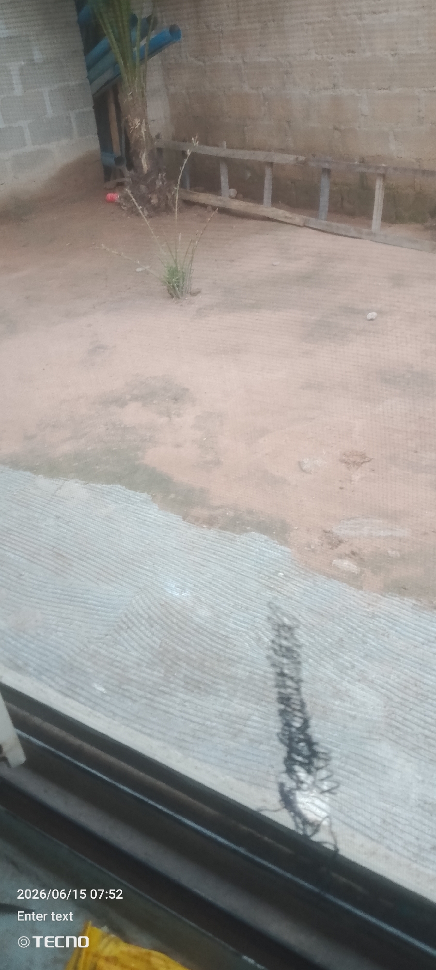 An outdoor scene in an unknown city shows a dirt ground area with some sparse vegetation and a small palm tree. A wooden ladder leans against a brick wall in the background. In the foreground, a textured concrete surface is visible. A timestamp overlay reads "2026/06/15 07:52" and "Enter text" followed by a Tecno logo.