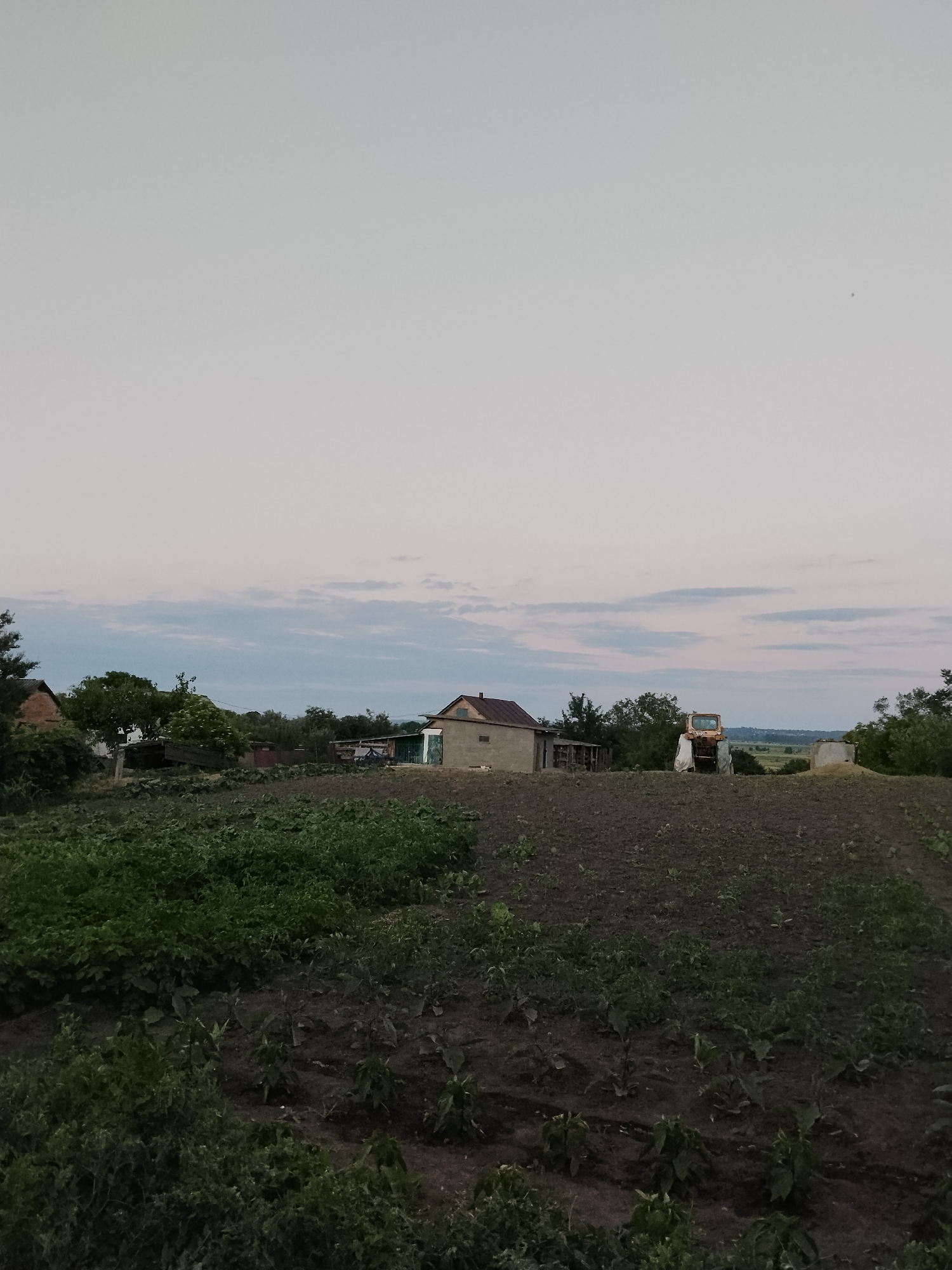 The image depicts a rural scene in Ustyvytsia, Ukraine, under a pale, overcast sky with thin, wispy clouds. In the foreground, there is a tilled field with rows of young plants. Beyond this, a small, sparsely populated village is visible. A rustic house with a brown roof is situated centrally. To the right of this house, a yellow tractor is parked. Further to the right, another building with a green section is present, and beyond that, more trees and vegetation. The overall impression is one of a quiet, agricultural environment in the evening or early morning.