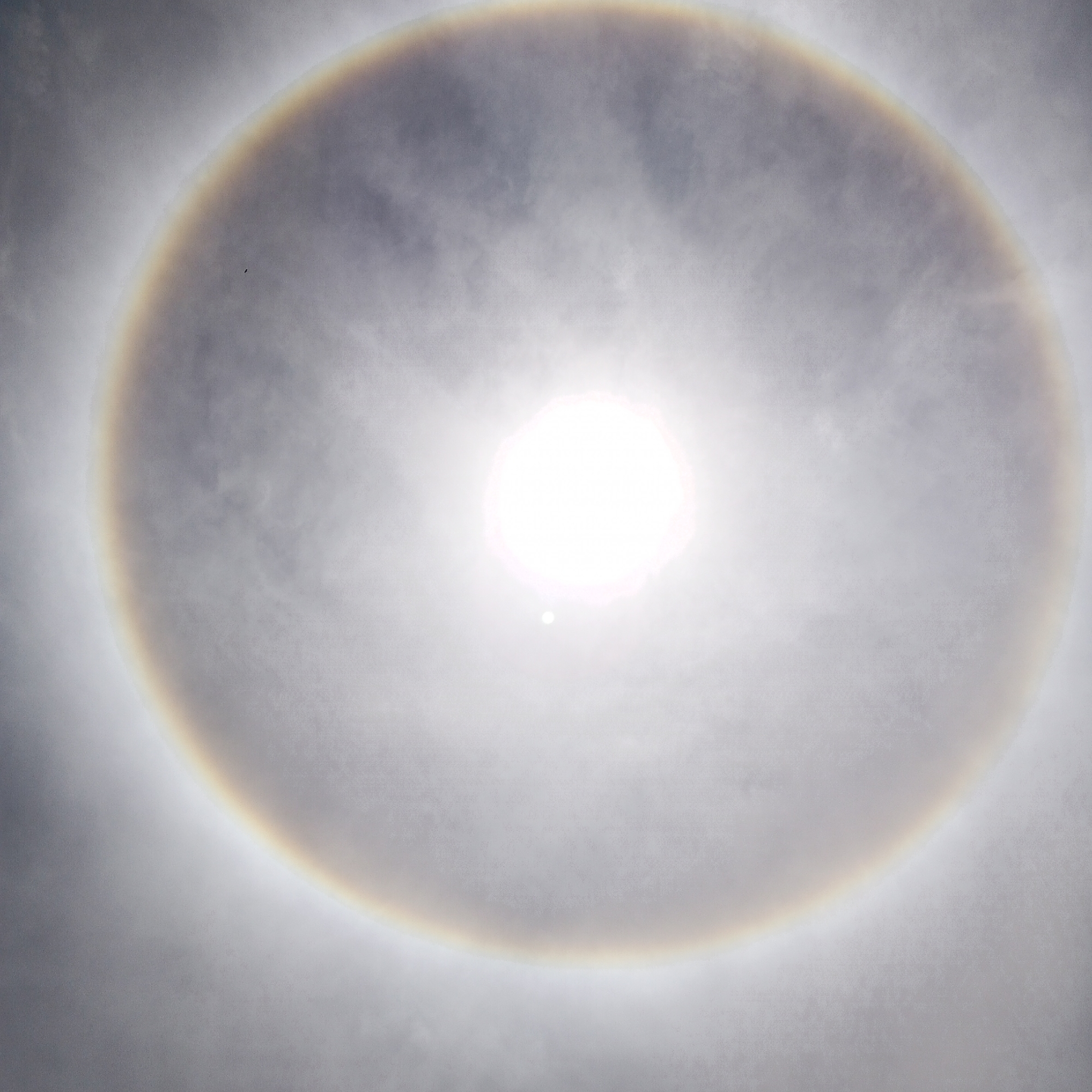 The image depicts a 22° halo around the sun, visible through thin clouds. The halo is a circular rainbow effect around the sun. The sun is in the center. There are no people visible in the image. A small dark spot is visible inside the halo on the left. Location information is not discernable from the image.