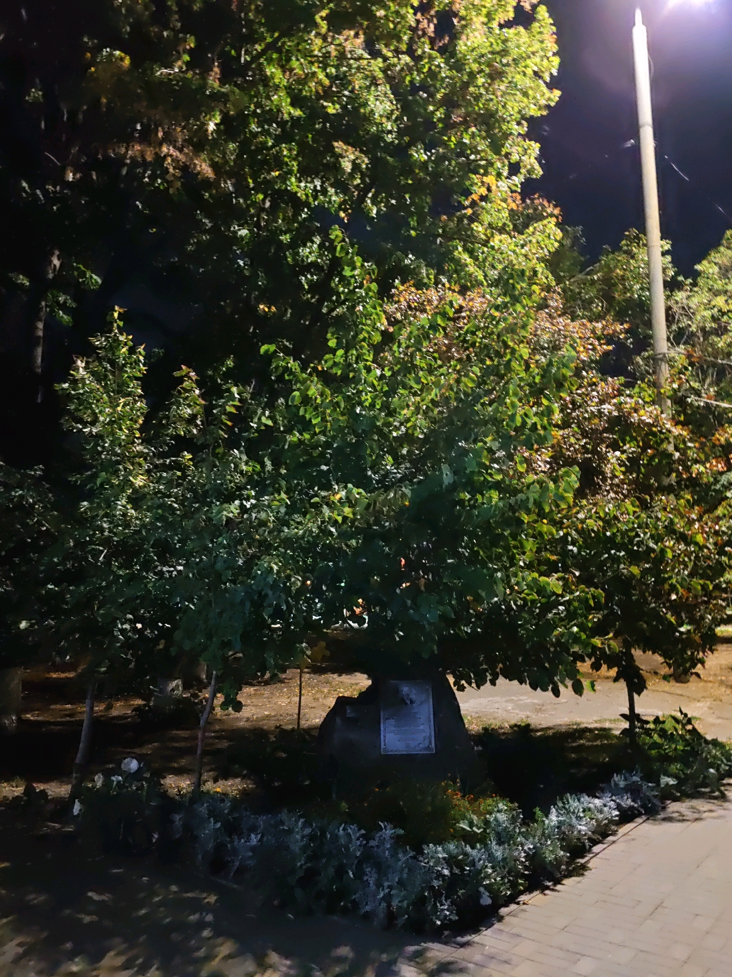 The image shows a night scene with a street lamp illuminating trees and a stone monument. The monument is situated at the base of a tree and has a plaque attached to it. The area appears to be a public space, possibly a park or a memorial site. The ground is covered with dirt and fallen leaves, and a paved walkway is visible on the right side of the image. The lighting from the street lamp creates strong shadows, adding to the dramatic effect of the scene. The specific location in Rostov-on-Don, Russia, cannot be determined from the image alone.