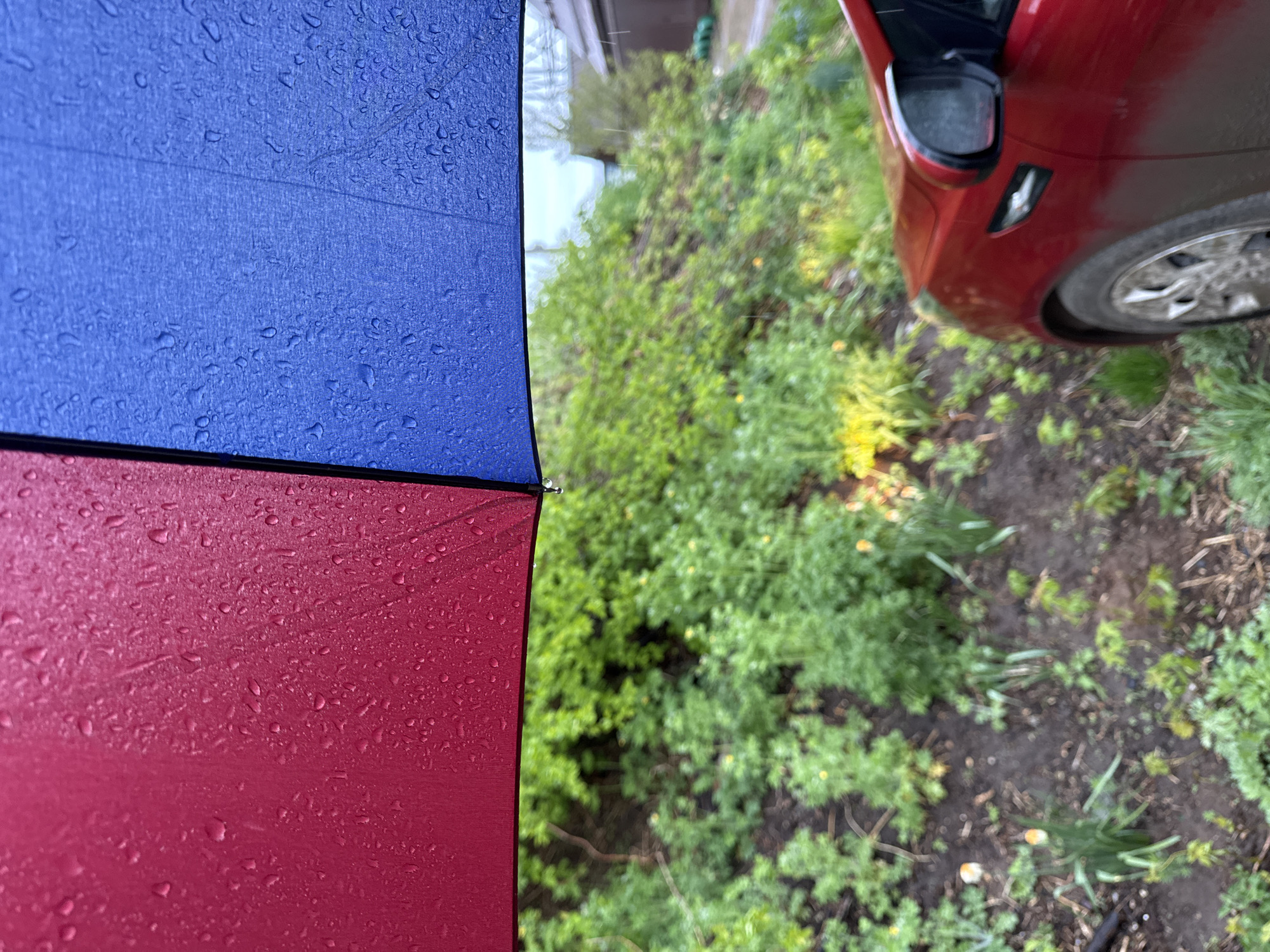 The image shows a partially visible blue and red umbrella with water droplets, taken outdoors on what appears to be a rainy day. To the right of the umbrella is a red car, with one wheel visible. Beyond the car, dense greenery and foliage are present. The location is possibly Chaikovsky, Russia, though definitive landmarks or indicators within the image to confirm this are not present. The scene depicts a common outdoor setting on a rainy day.