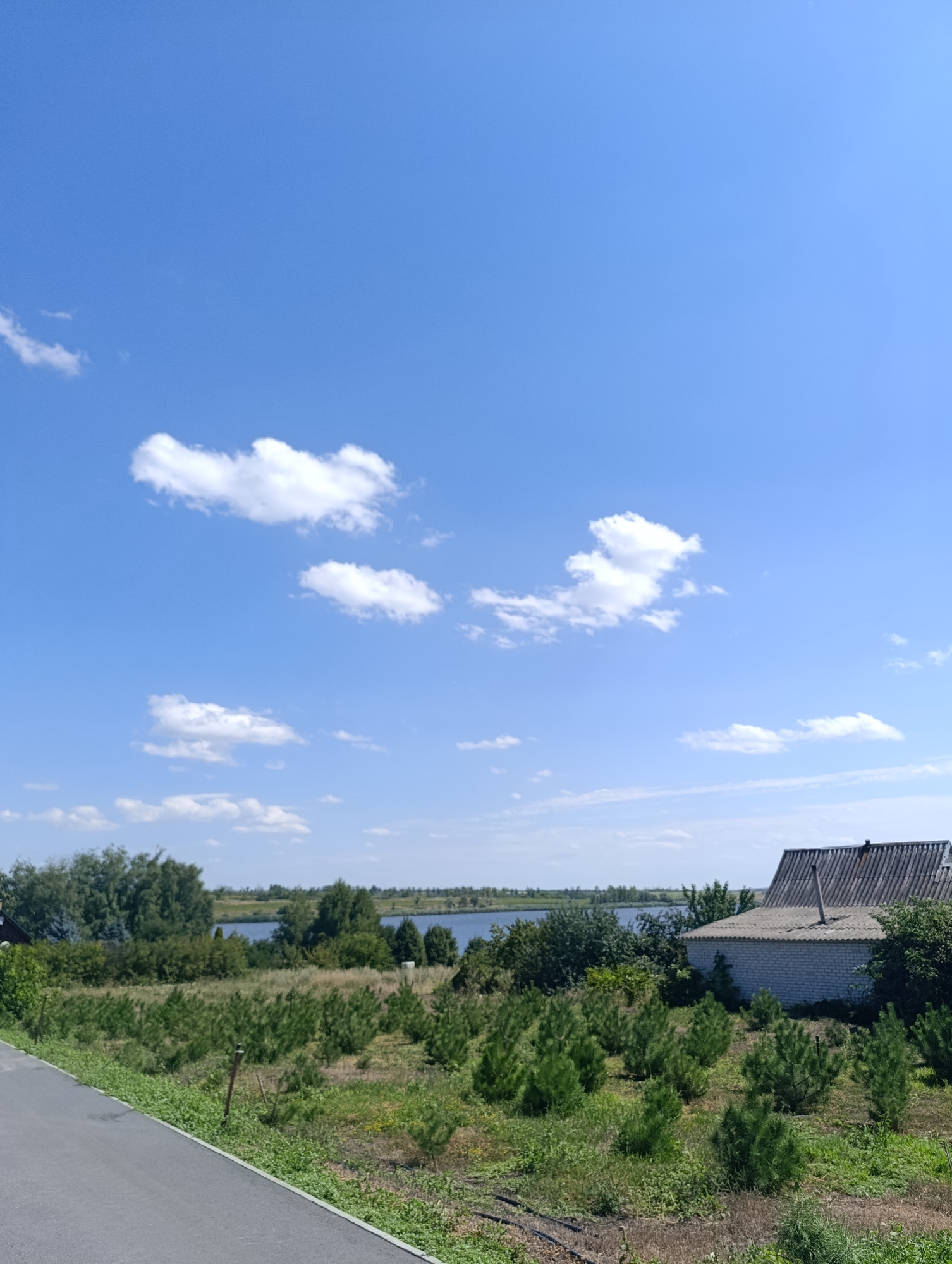 A bright, sunny day with a clear blue sky and scattered white clouds is depicted in Bulatselivka, Ukraine. The foreground features an asphalt path on the left, bordering a grassy area with young pine trees and various other green vegetation. In the middle ground, a body of water, likely a lake or river, is visible, bordered by a line of trees. To the right of the water, a white brick building with a grey, corrugated roof and a chimney is situated. The building appears to be a house or outbuilding. The overall scene is rural and tranquil.