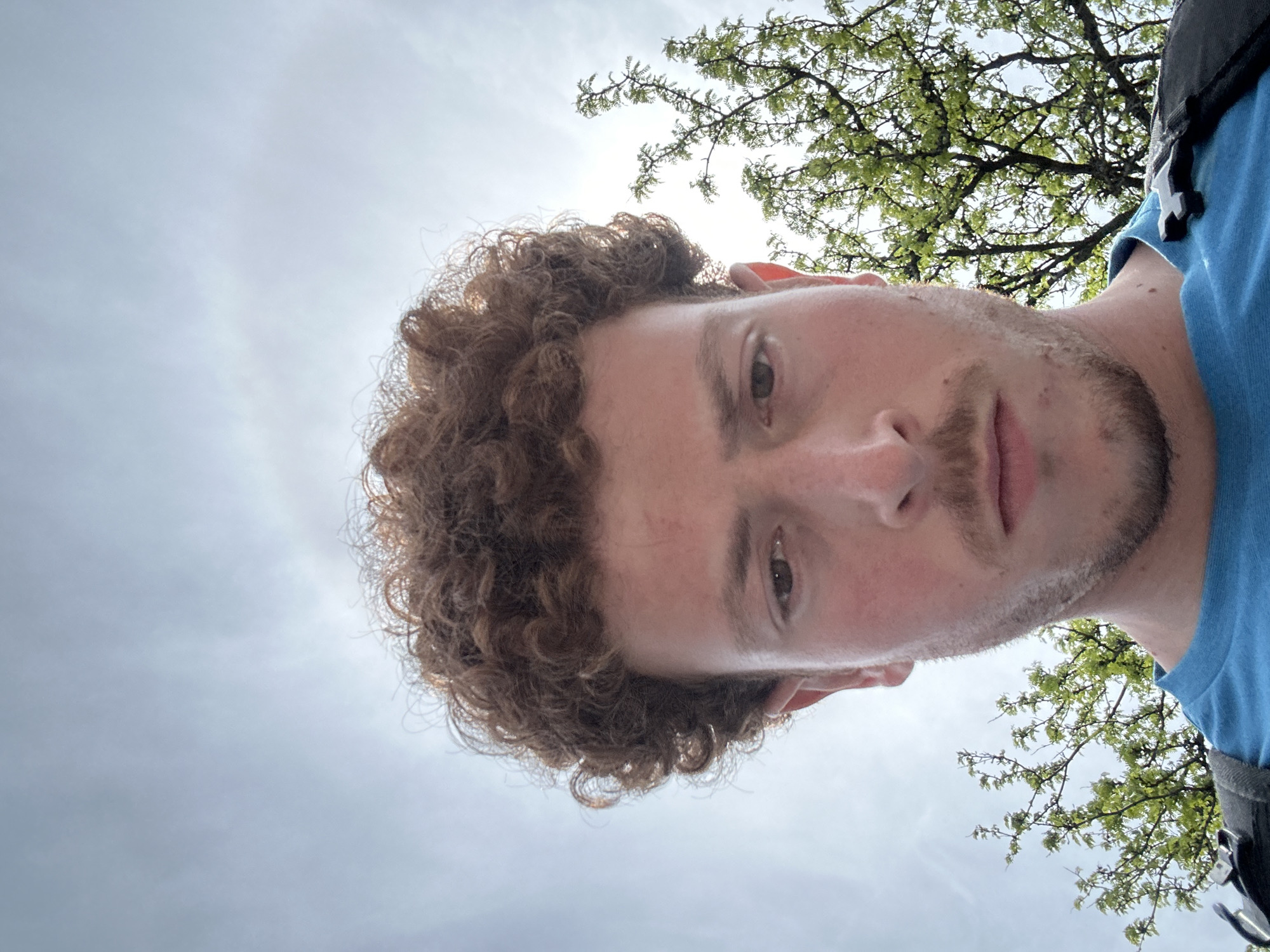 A portrait-oriented photo captures a young man looking directly at the camera from a low-angle perspective, with the image rotated approximately 90 degrees clockwise. The man, with curly brown hair and light stubble on his chin and upper lip, occupies the left and central portion of the frame. He has brown eyes and a neutral expression. He is wearing a blue t-shirt, and a dark strap, possibly from a backpack, is visible over his right shoulder near the right edge of the frame.
The background consists primarily of a bright, light blue sky with some visible cloudiness. The sun is a prominent, bright light source in the upper central area of the sky, creating a slight glare. In the upper right and lower right sections of the image, bare tree branches with small, fresh green leaves are visible, suggesting an outdoor setting during springtime or early summer. The low angle emphasizes the upward gaze towards the sky and tree canopy. There is no visible text in the image. The time of day appears to be bright daytime.