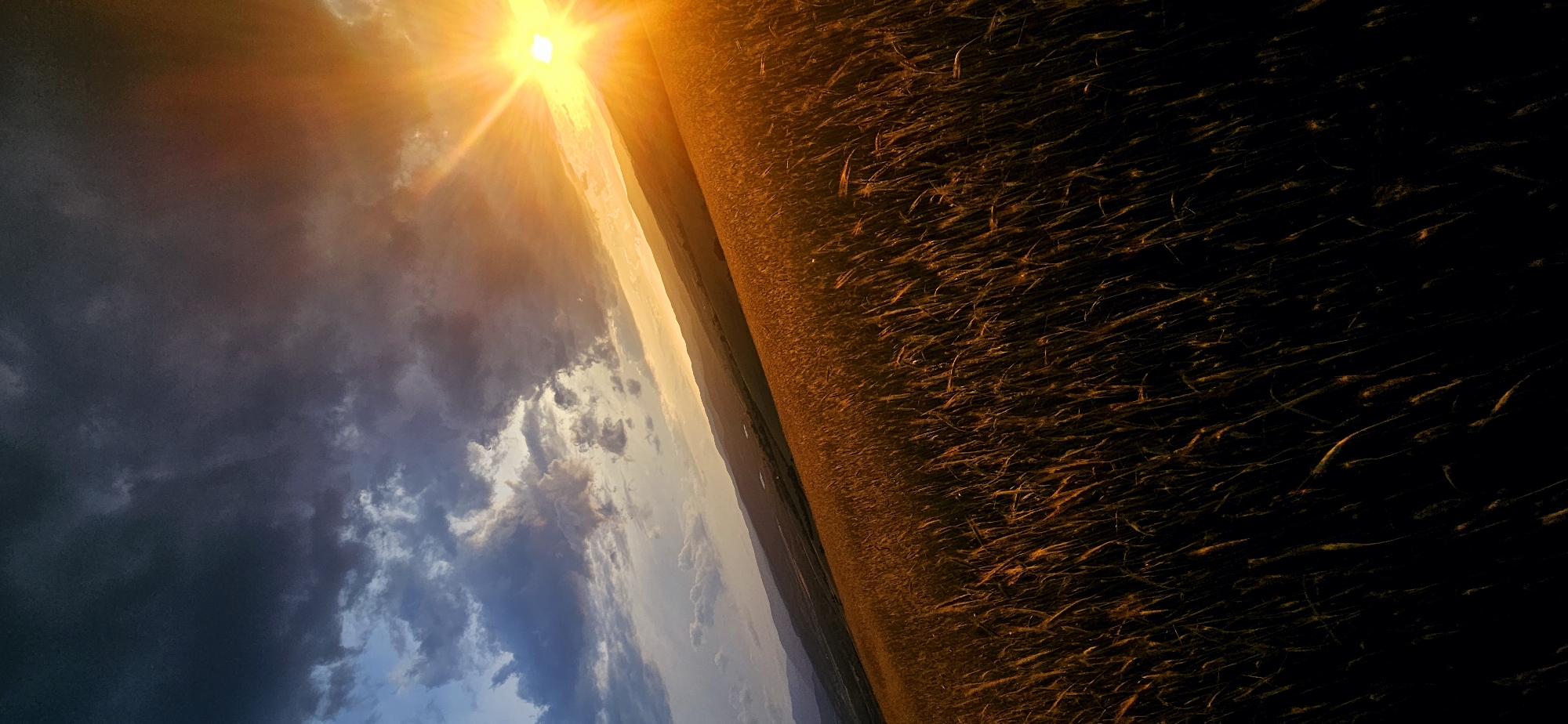 The image captures a wide-angle, low-angle shot of a vast field of golden-brown grass, likely wheat or barley, illuminated by the setting sun. The field stretches across a sloping hillside, with distant rolling hills and mountains visible in the background. The sky is dramatic, with dark, heavy clouds on the left transitioning to a brilliant orange and yellow glow on the right, where the sun is setting. Sunbeams emanate from the sun, casting a warm light across the scene. The overall impression is one of a serene and beautiful natural landscape at dusk. The location in Momin Prohod, Bulgaria, suggests a rural, possibly mountainous, setting. There are no people or discernible man-made objects in the immediate foreground or mid-ground, emphasizing the natural environment.