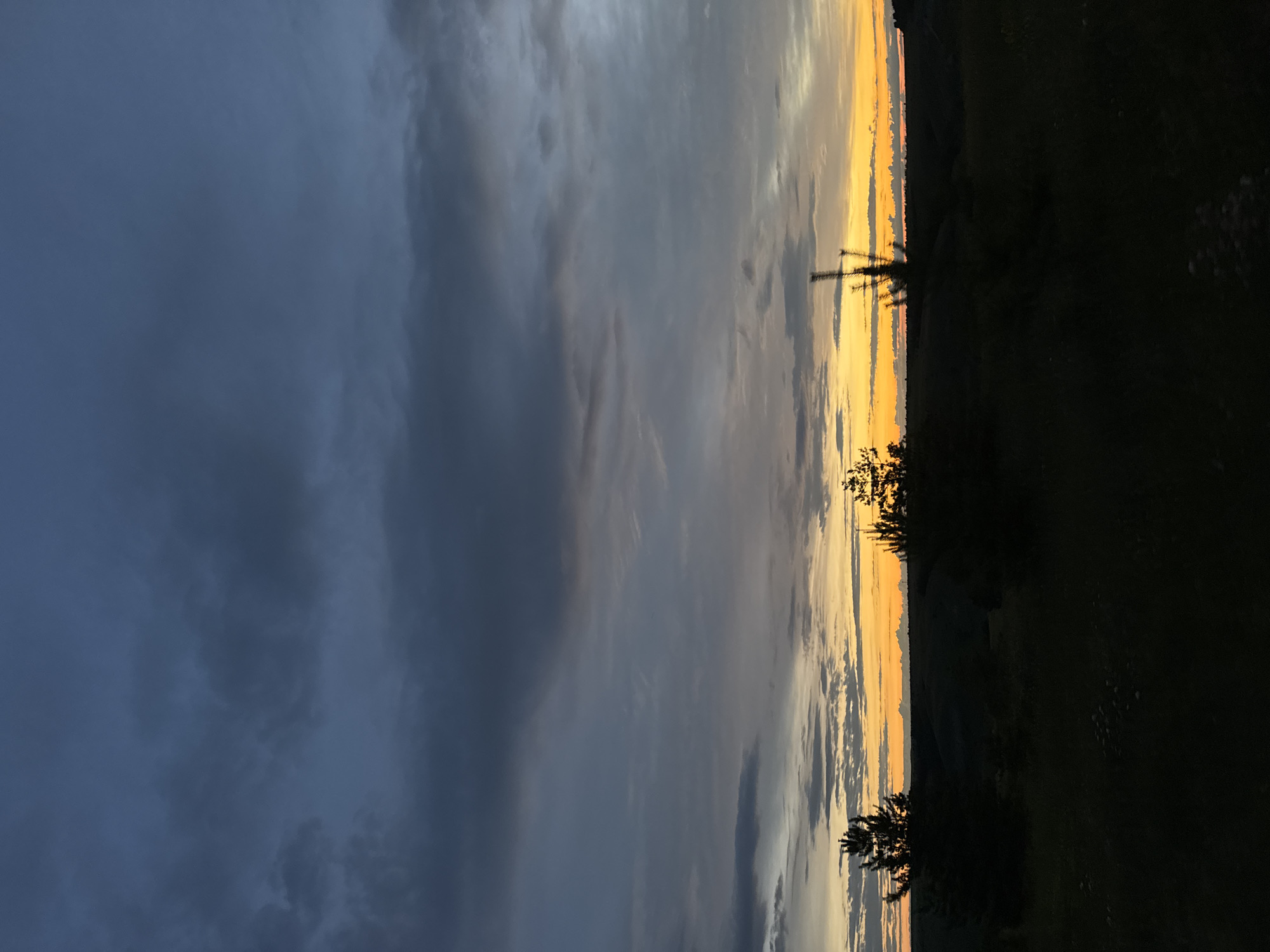 An outdoor vertical shot captures a landscape at dusk. The upper portion of the image is dominated by a gradient of dark blue and grey clouds, with lighter grey clouds appearing lower down, transitioning into a band of bright orange and yellow light along the horizon. Silhouetted against the colorful sky are a series of dark green pine trees scattered across the foreground and midground, with the terrain appearing to be a hilly or uneven landscape. The very bottom of the image is almost entirely black, suggesting a dark foreground with some faint lighter specks that could be small plants or flowers.