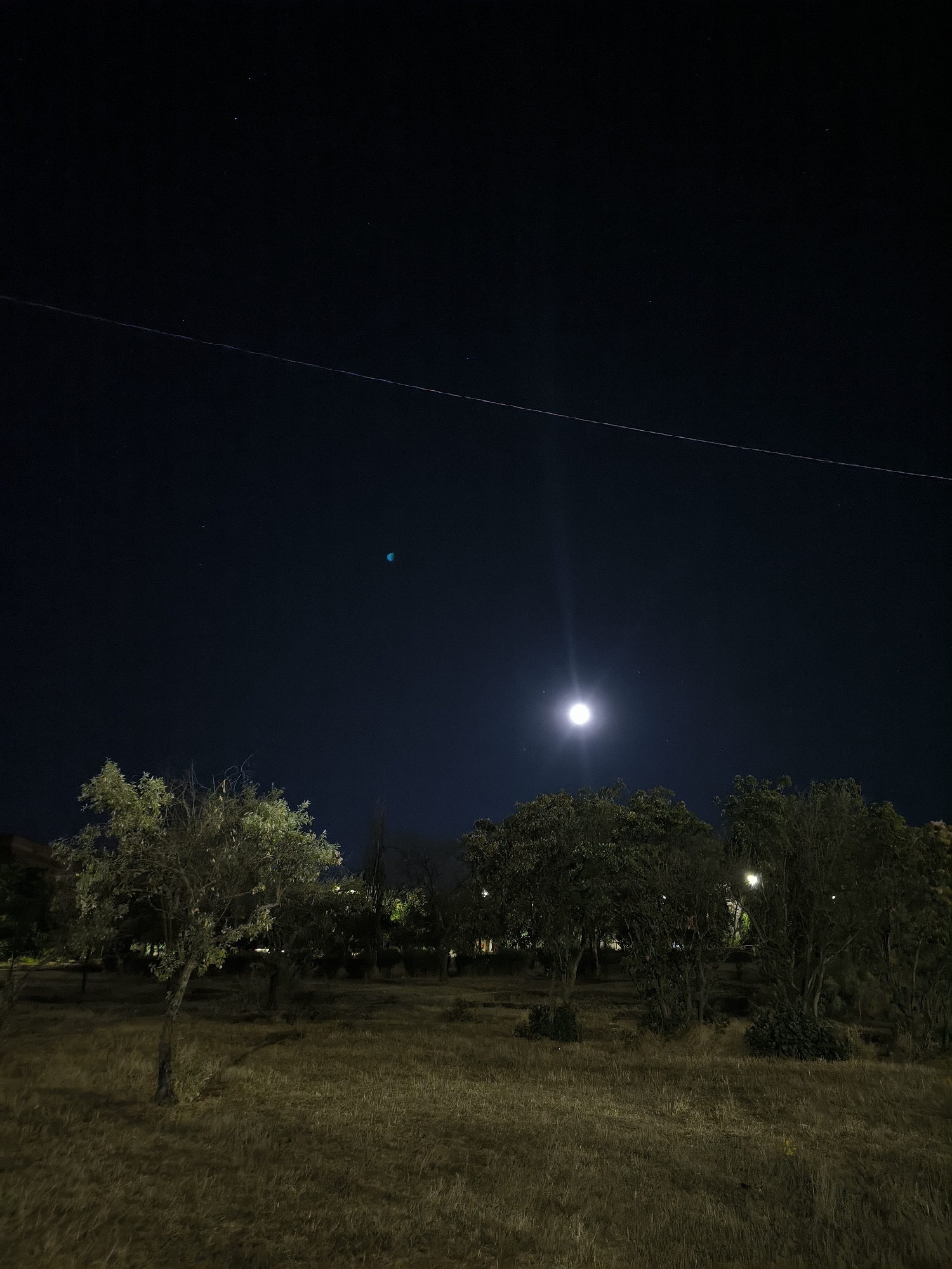 The image depicts a nighttime scene in a park-like area, possibly in Mykolaiv, Ukraine. The sky is dark blue, with a bright full moon positioned in the upper center of the frame, casting a strong light and creating a visible beam. Several small stars are scattered across the sky. A thin, faint line, possibly a contrail or a power line, stretches diagonally across the upper portion of the sky.
In the foreground, there is a field of dry, yellowish grass, suggesting a dry season or unkempt grounds. Several trees are scattered throughout the scene. On the left, a solitary, moderately sized tree with green foliage stands out. Further back, a cluster of trees forms a darker, denser line, some of which are illuminated by what appear to be streetlights, indicated by small, bright white or yellow points of light within their branches. The overall impression is of a quiet, natural area at night, possibly a public park or a less developed urban space. There are no people or animals visible in the image.