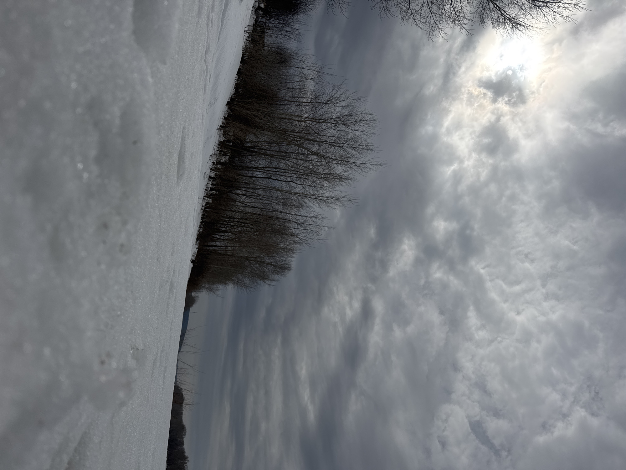 The image depicts a winter scene. On the left is a snow-covered area, possibly a field or a roadside. A line of bare trees stretches across the middle of the frame. The sky is overcast with a sun spot visible through the clouds. While the location is stated to be Chaikovsky, Russia, there are no visible landmarks to confirm this information.