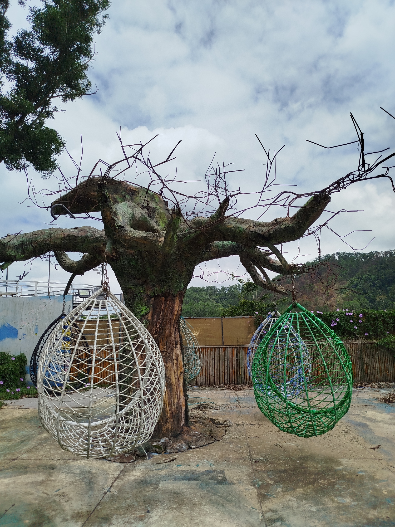 This image depicts an outdoor scene in Da Lat, Vietnam, featuring a large, artfully constructed tree sculpture with hanging egg-shaped swings. The sculpture, made of concrete and possibly other materials, is designed to resemble an ancient, gnarled tree with thick, moss-covered branches. Two prominent swings are visible: a white one on the left and a green one on the right. Both swings are made of woven material, creating an open, cage-like structure.
In the background, a fence made of bamboo poles runs horizontally. Beyond the fence, lush green hills covered with trees rise, indicating a natural, possibly mountainous setting. The sky is cloudy, with patches of blue visible. The ground appears to be paved with concrete, showing signs of wear and some scattered debris. A small purple flower bush is visible to the left of the white swing, and more purple flowers are seen along the fence line. The overall impression is that of a whimsical and slightly surreal recreational area within a natural landscape.