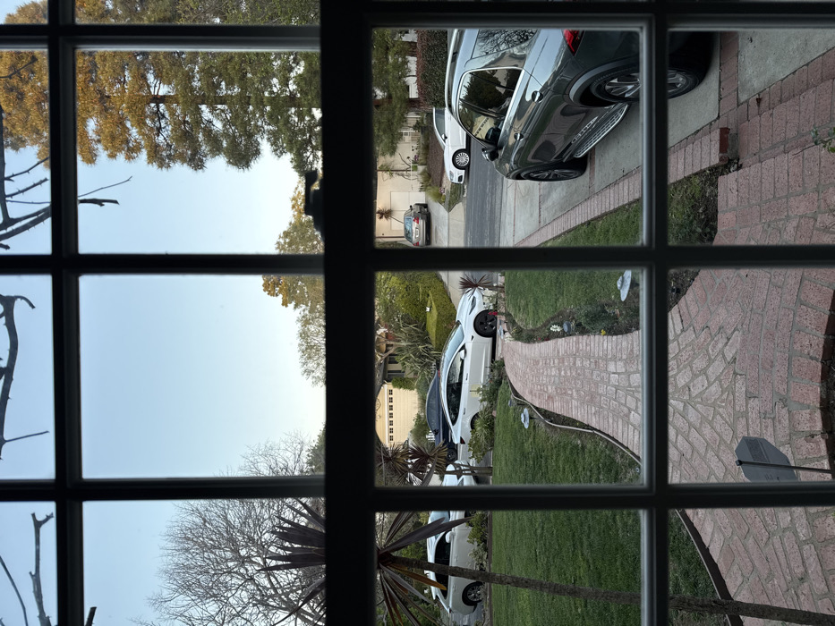 The image presents a forensic view from indoors, looking out through a multi-paned window into a residential neighborhood in Los Angeles, United States of America, during late afternoon or early evening under a clear, light blue sky. Dark window muntins frame the scene, with silhouetted bare tree branches visible through the top panes.
The immediate exterior features a manicured green lawn traversed by a curving reddish-brown brick pathway, bordered by landscaping and small ground-level lights. A concrete driveway is visible on the right.
Six vehicles are present:
1. A dark gray Mercedes-Benz GLE-Class SUV is partially visible on the right, parked on a concrete driveway, facing away.
2. A white Tesla Model 3 or Y sedan is parked on the lawn to the left of the brick pathway, facing right.
3. A white Lexus RX SUV is partially visible on the far left, behind the Tesla, angled towards the street.
4. A dark-colored sedan is parked further back on a driveway across the street.
5. A white Audi sedan is parked on a driveway across the street on the right, facing the viewer.
6. A light brown sedan is parked further down the street in a driveway, facing the viewer.
Across a paved residential street, several single-family houses with garages are visible, exhibiting typical suburban architecture. The background is characterized by abundant mature trees with green foliage. No individuals are visible within the frame.