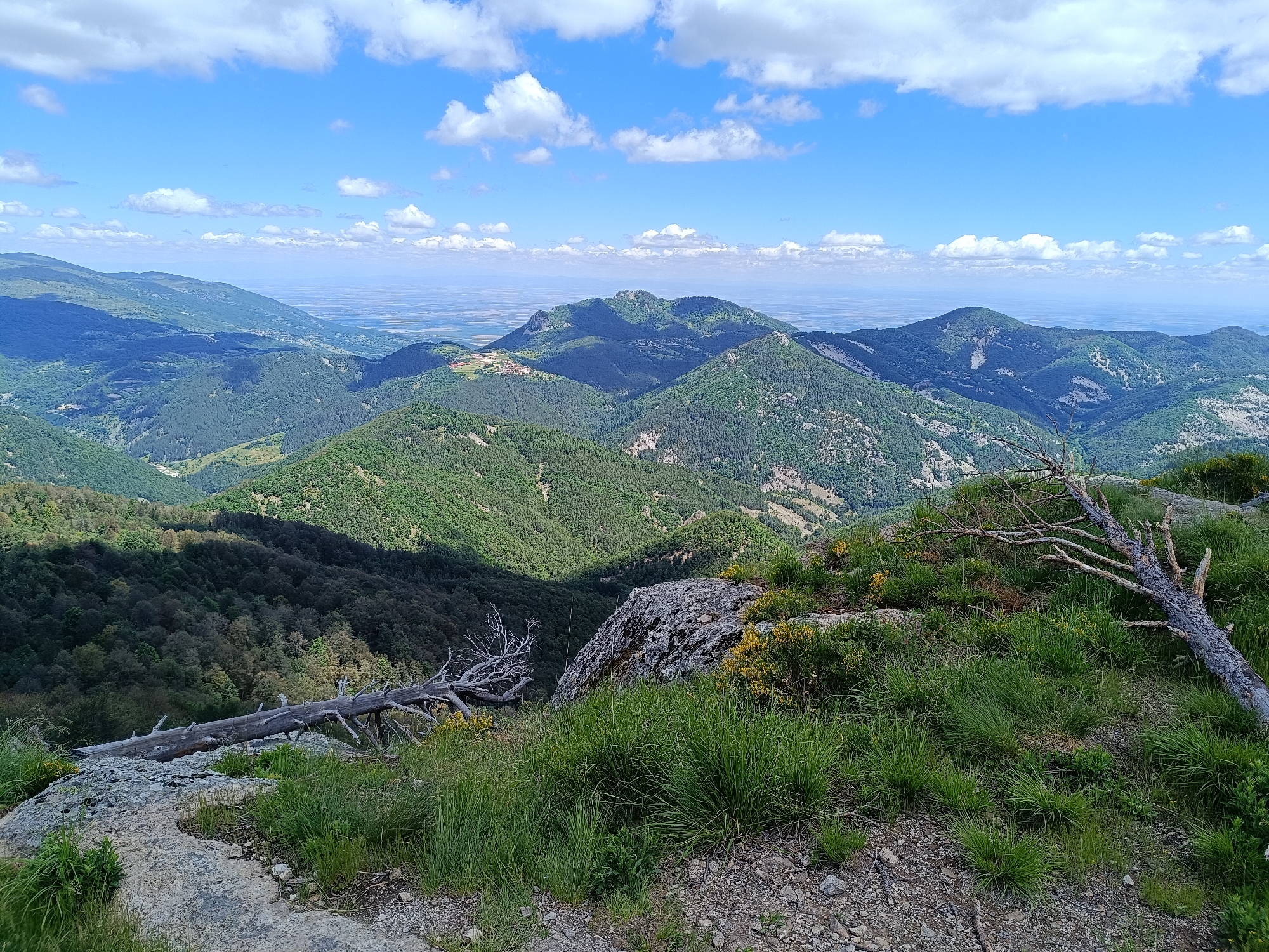 The image depicts a panoramic view of a mountainous landscape from a high vantage point. The foreground features rocky terrain with sparse vegetation, including dry tree branches and green grass. In the midground, rolling hills covered in dense green forests descend into valleys. In the background, a series of layered mountain ranges stretch towards the horizon, where a hazy, expansive plain can be seen. The sky is a vibrant blue, dotted with scattered white clouds. The scene is indicative of a natural, undeveloped area. The location is identified as being in the vicinity of Vrata, Bulgaria.