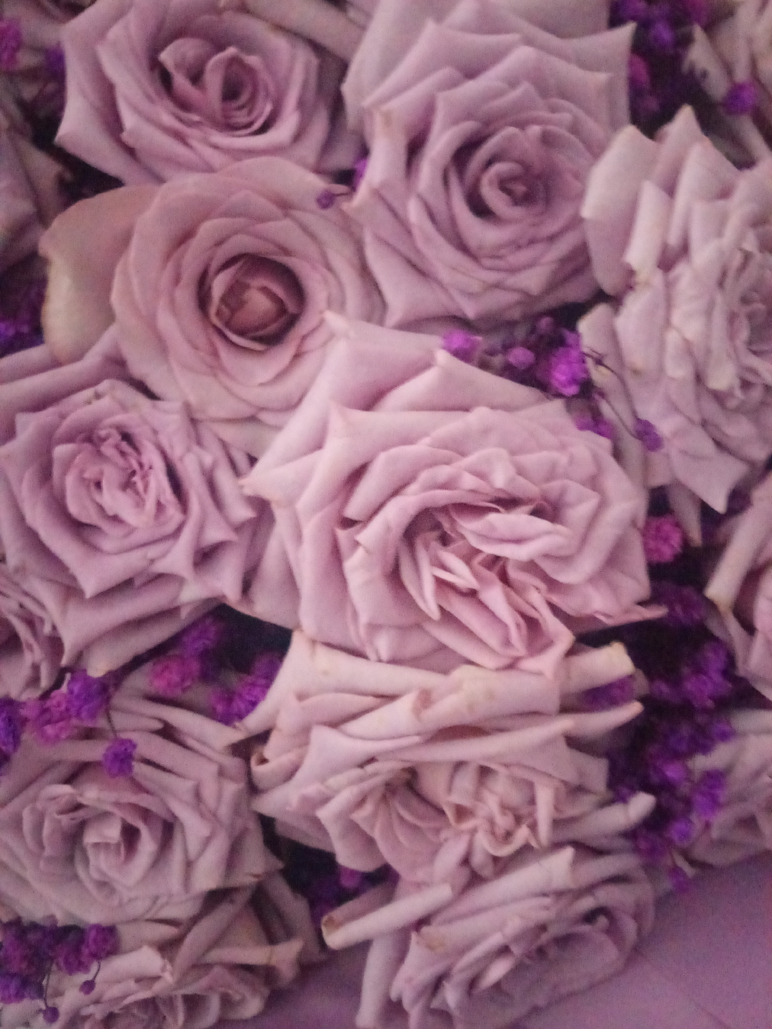 The image shows a close-up of a bouquet of light purple roses with small purple filler flowers interspersed. The roses are tightly packed, and their petals appear soft and delicate. The filler flowers add texture and visual interest. The environment appears to be a floral arrangement, possibly for a special occasion, but the specific location is not discernible from the image. No people, actions, or interactions are visible. It is impossible to determine the location in Davao City, Philippines, based on the image content alone.