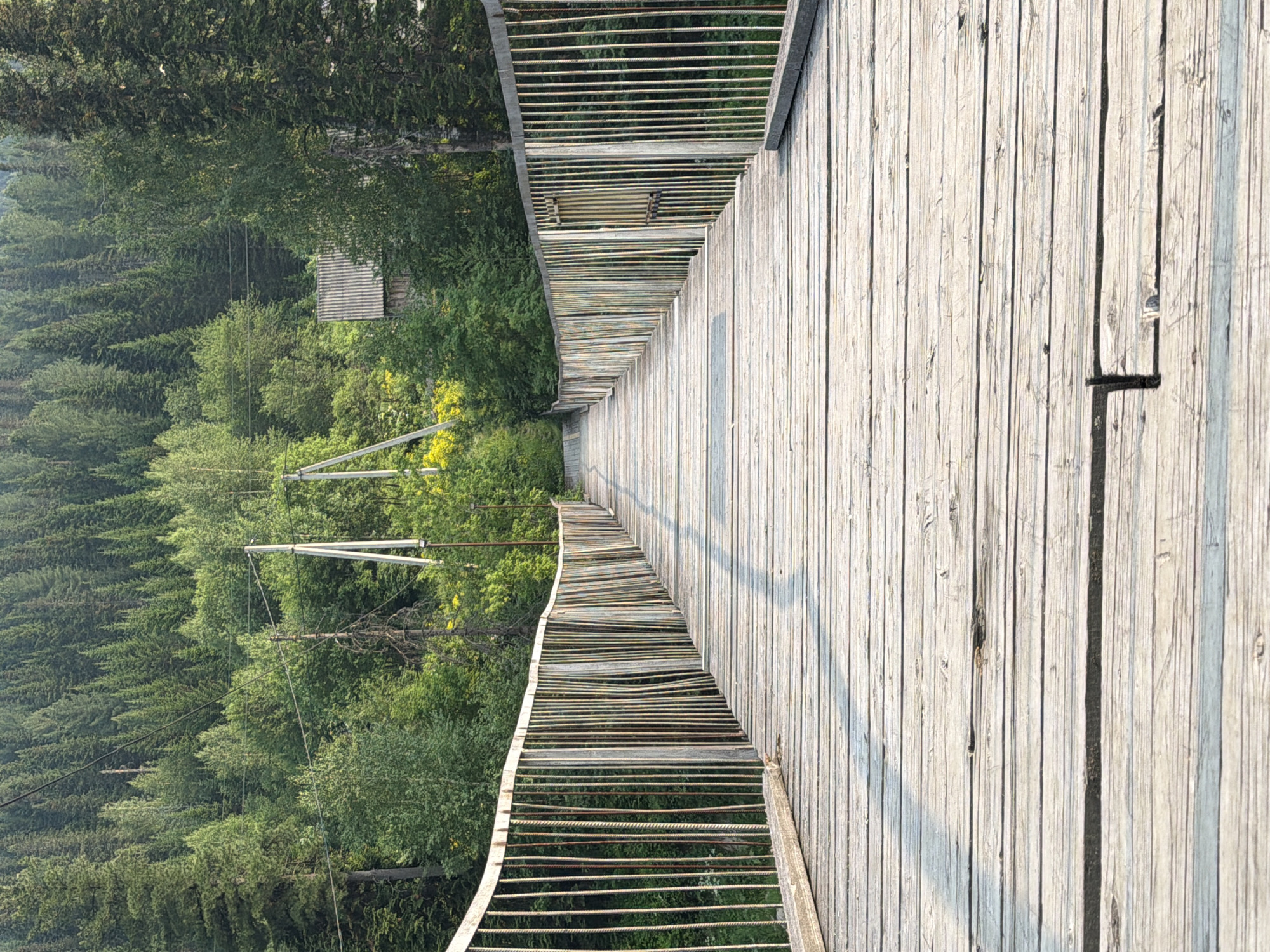 A wooden walkway, possibly a suspension bridge, extends into a dense forest. The walkway's surface is made of weathered wooden planks that appear to be reinforced with metal rods or wire. The railing on the right side of the walkway is constructed from vertical wooden planks, showing signs of age and weathering. On the left side, the railing is more open, with horizontal rope or cable supports.
The walkway leads towards a backdrop of lush green trees, with a small, dark-roofed structure visible amongst them. The forest canopy is dense, with sunlight filtering through, creating dappled light and shadows. Some yellow flowers are scattered within the greenery. The perspective of the image is such that the walkway recedes into the distance, creating a sense of depth and leading the viewer's eye into the forest.
The scene suggests an outdoor setting in a natural environment. The time of day appears to be either early morning or late afternoon, judging by the long shadows cast across the wooden planks. The weather seems to be clear and fair. The location cues, such as the dense coniferous forest and the style of construction, are consistent with a rural or mountainous area. There are no people visible in the image, and no text is present. The overall mood is one of natural beauty and tranquility, with a hint of rustic charm due to the aged walkway.