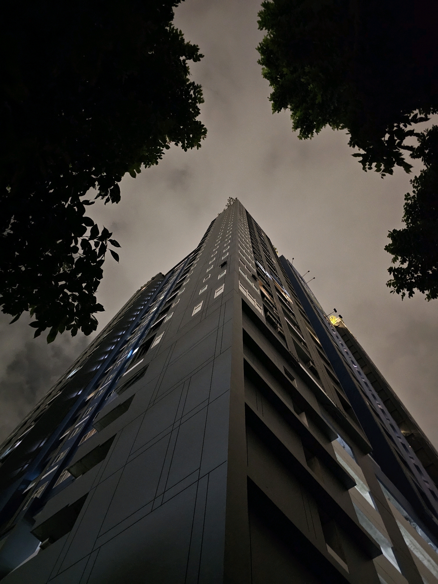 This is a low-angle, full-frame shot of a modern, dark gray high-rise building at night, viewed from below. The building's facade features a grid-like pattern of windows and some darker, recessed balconies or structural elements. The top of the building is obscured by the frame, but it appears to be a tall skyscraper. The sky above is overcast and a muted gray, suggesting cloudy or foggy conditions. Dark silhouettes of tree branches and leaves frame the top corners of the image, reaching into the sky from unseen trees on either side of the building. The overall impression is one of urban architecture set against a dark, atmospheric sky, hinting at a city environment possibly experiencing twilight or nightfall. There are no people or discernable actions visible in the image. The building's lighting suggests it is occupied, with some windows illuminated.