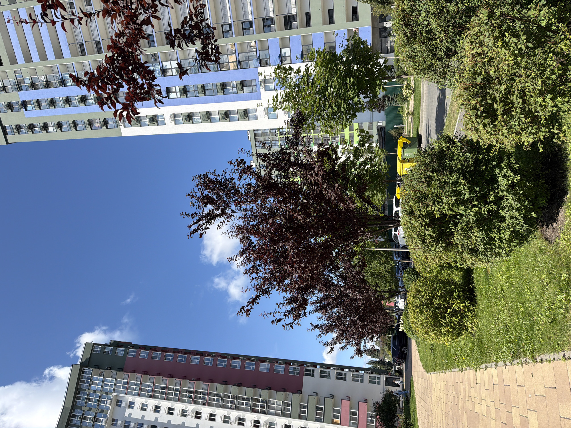 In Kyiv, Ukraine, a residential area features two modern high-rise apartment buildings with distinct architectural styles. The building on the left is primarily white with maroon and green accents, while the one on the right displays a facade of white, blue, and green. Both buildings have numerous balconies and windows. In the foreground, a paved walkway made of light brown bricks borders a well-maintained lawn with several neatly trimmed bushes. Several trees are present, including a dark-leaved ornamental tree in the middle ground and a lighter green leafy tree to its right. In the background, cars are parked along a street, and two bright yellow trash bins are visible. The sky is a clear blue with a few scattered white clouds, indicating a sunny day. No people are actively engaged in any actions; one person is visible walking on the paved path in the distance. The scene depicts a clean and orderly urban environment.