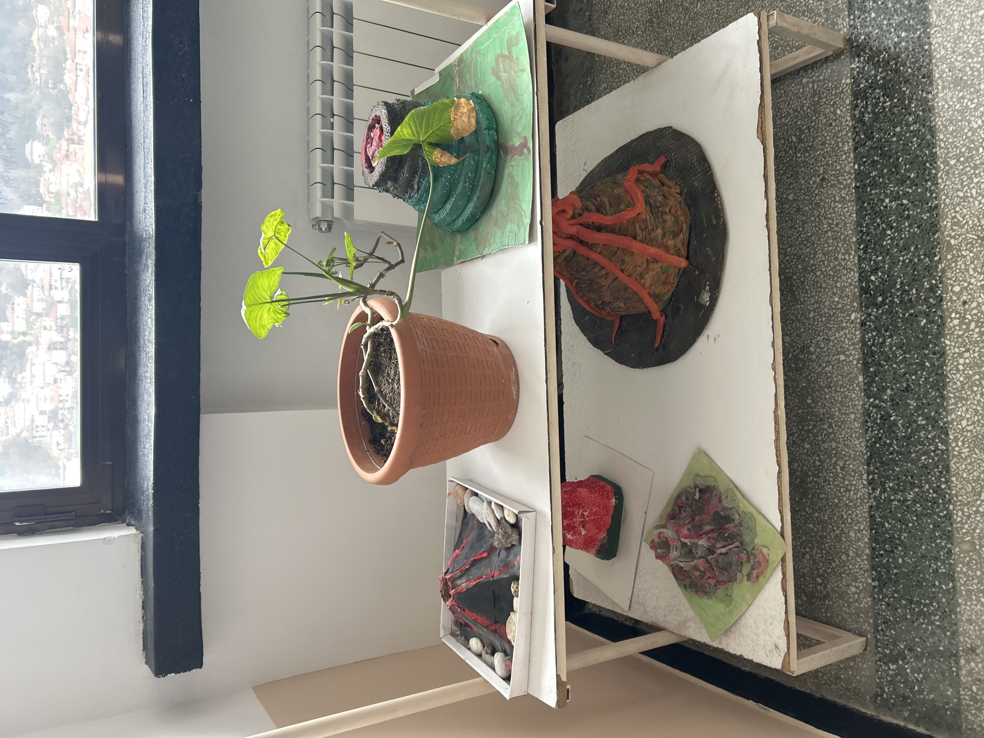 The image shows a corner of a room in what appears to be a school setting. A window is visible to the left, with a view of a townscape, likely Zlatograd, Bulgaria. A radiator is next to the window. On a white shelf unit are several models of volcanoes, each different in materials and construction. A potted plant with large green leaves sits on the shelf near the volcanoes. The floor is a patterned grey material.