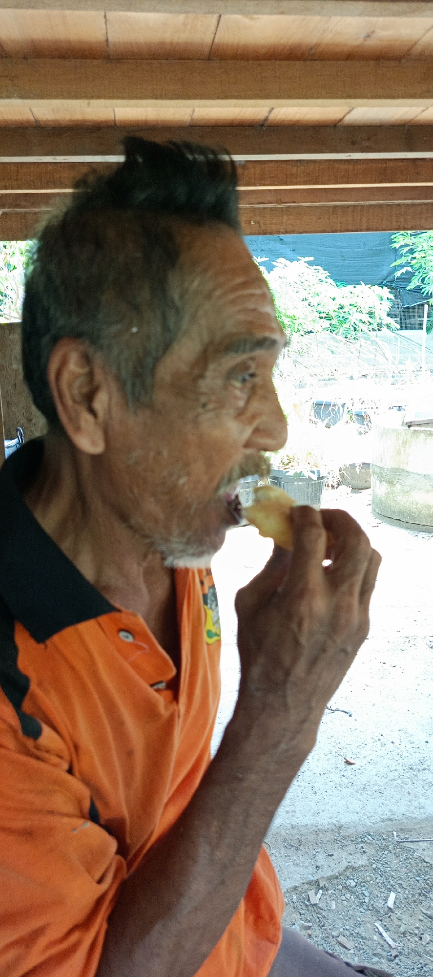 An elderly man with dark hair and facial hair is eating a piece of food. He is wearing an orange collared shirt with a black trim. He is outdoors, possibly in an open-air shelter, with a wooden ceiling overhead. In the background, there are plants in pots and some structures that appear to be part of a garden or nursery. The ground is covered with gravel. The image was taken in Meunasahmesjid, Indonesia.
