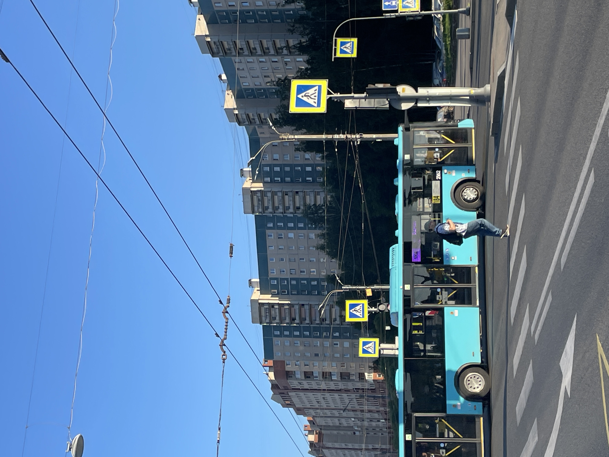 The image depicts a street scene in Saint Petersburg, Russia, featuring a bright blue bus in motion, crossing a pedestrian zebra crossing. A lone individual is walking across the zebra crossing from right to left, wearing a light-colored shirt, dark pants, and a backpack. The bus has its doors open, and its license plate is partially visible. In the background, a series of tall, multi-story residential buildings with a beige and blue facade line the street. Overhead, numerous power lines and traffic signals are visible against a clear blue sky. Several pedestrian crossing signs, which are yellow squares with a blue border and a pedestrian pictogram, are posted on poles along the street. The overall environment suggests an urban setting with active city life.