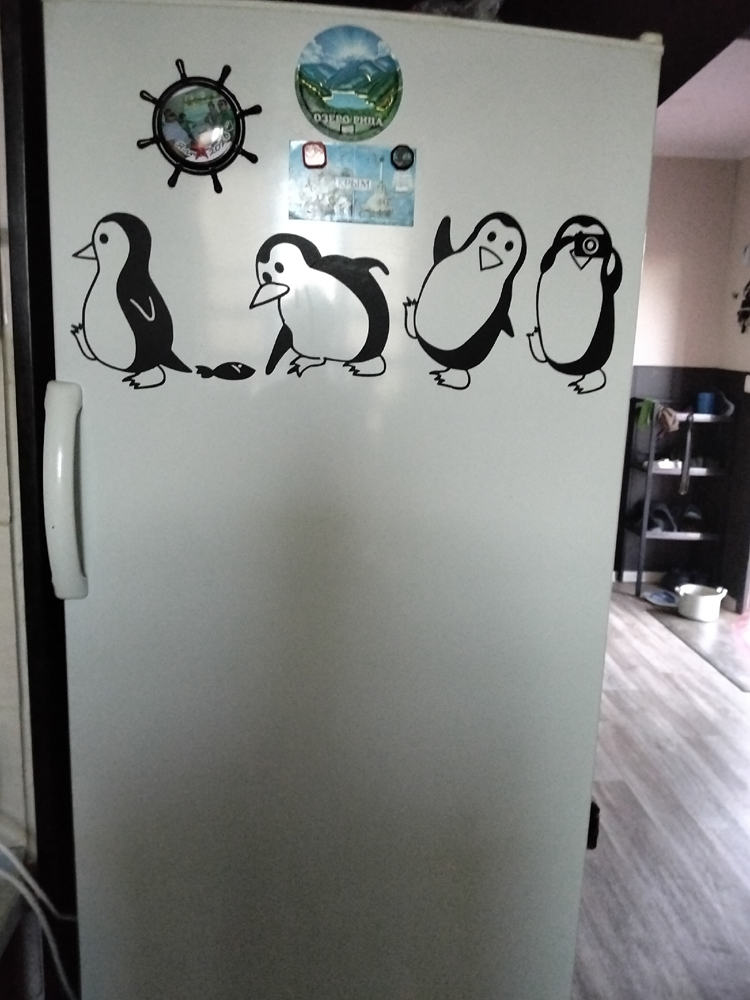 The image displays a white refrigerator with several stickers on its door. From left to right, the stickers include a ship's wheel with a picture inside, a round sticker depicting a landscape with text, a rectangular sticker with text and an image, and four penguin stickers in various poses. One penguin sticker is to the left of the other three. The refrigerator has a white handle on the left side. In the background, to the right of the refrigerator, a dark shelving unit with items on it is visible, as well as a wooden floor. The setting appears to be an indoor domestic environment. The image does not provide any specific information or context related to the city of Nizhnedonskoy, Russia.