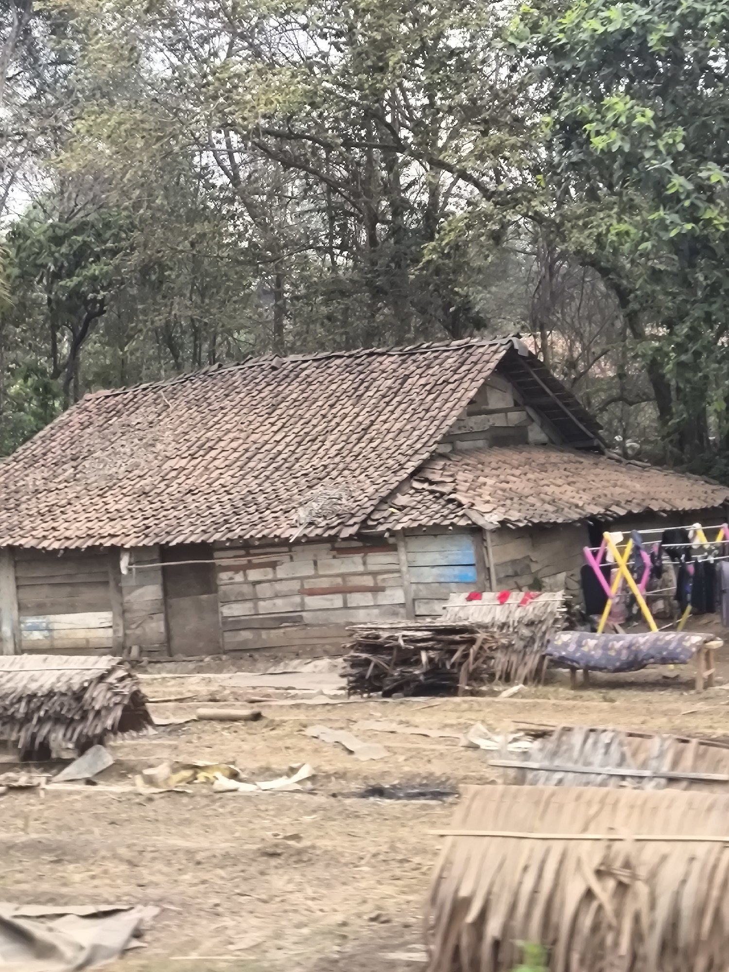The image depicts a rustic, weathered dwelling with a tiled roof in what appears to be a rural or semi-rural setting, possibly on the outskirts of Cilegon, Indonesia, given the contextual information. The house features walls constructed from horizontal wooden planks and some sections of what looks like rough brickwork. A dark, wooden door is visible on the front of the house. In front of the structure, there is a clothesline with several garments hanging, supported by a yellow and pink frame. Piles of stacked materials, likely dried leaves or thatch, are scattered around the foreground. A long, low wooden table covered with a patterned cloth is positioned to the right of the clothesline. The ground is uneven and appears to be made of dirt and debris. Trees with dense foliage, some appearing to be deciduous and others evergreen, form a backdrop to the scene. The overall impression is one of simplicity and possibly a state of disrepair or ongoing construction/maintenance. There are no identifiable individuals in the frame. The environment suggests a warm climate, consistent with Southeast Asia.
