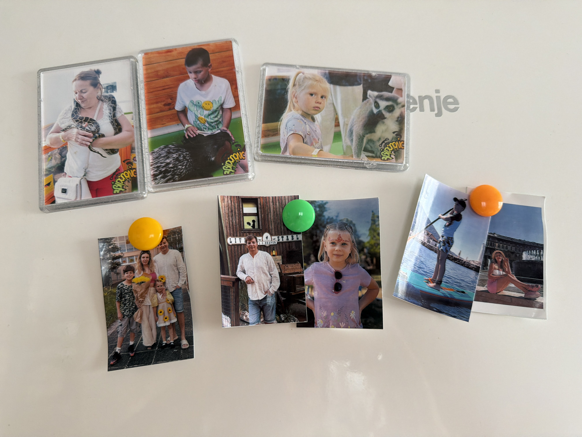 The image shows a white refrigerator door with a "Gorenje" logo. Six photographs are attached to the door with magnets. The photos appear to depict family members participating in activities, like visiting a zoo with a snake and lemur, a visit to a stable with different animals, and a vacation. Two photos appear to be taken in Budva, Montenegro, with one showing a person on a paddleboard and one showing a woman posing in front of a building.