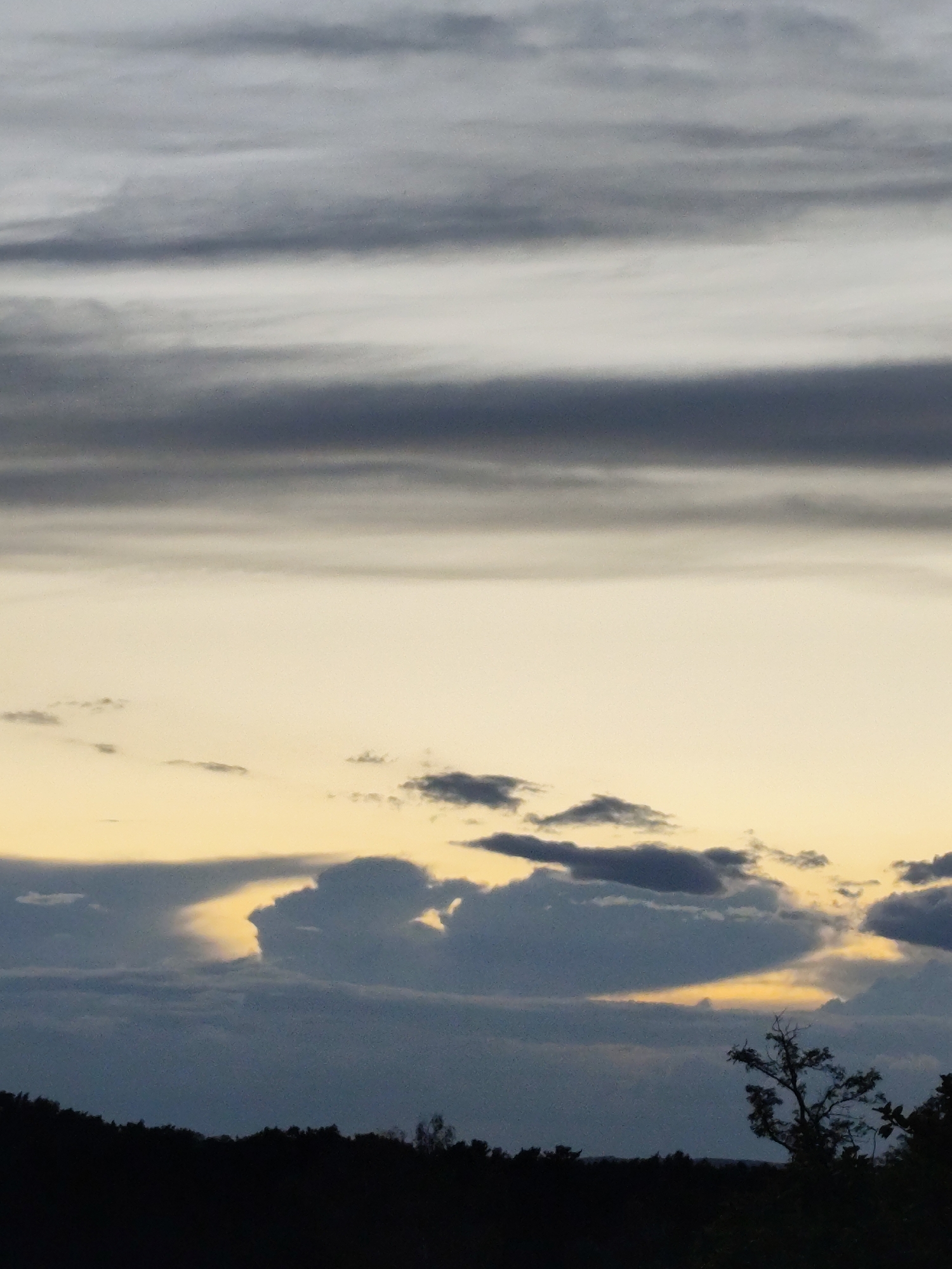 The image depicts a moody sky over a silhouetted treeline, likely a natural area on the outskirts of a city. Horizontal bands of grey and white clouds dominate the upper portion of the frame, with lighter, yellowish hues appearing towards the horizon. In the lower part of the sky, darker, more dramatic clouds are present, some with a luminous quality where light shines through. The very bottom of the image shows a dark, dense silhouette of trees, forming a natural boundary against the sky. A solitary, skeletal tree branch is visible against the lighter sky on the right side. The scene suggests a twilight or post-sunset atmosphere. While specific landmarks are not visible, the terrain appears elevated, hinting at a possible viewpoint from a hill or elevated ground. Given the location information, this scene could be from one of the higher points in Zielona Góra, Poland, such as the Góra Wilkanowska or areas near the Botanical Garden, offering views over the surrounding landscape and cityscape that is not depicted.