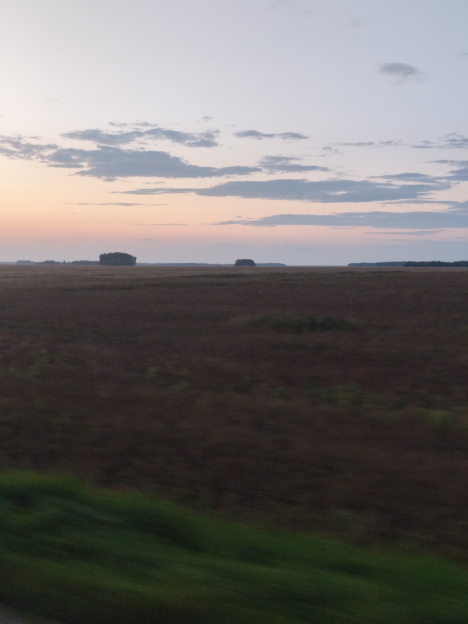 The image depicts a wide, flat agricultural field under a pale sky at dusk. In the foreground, the field is a dark, reddish-brown, with subtle variations in texture. A blurred band of green vegetation runs along the bottom left edge of the frame, suggesting movement or the edge of another terrain feature. In the mid-ground, a cluster of dark green trees forms a dense, rounded mass on the horizon. Further to the left and right, more distant tree lines are visible, appearing as dark, low silhouettes against the fading light. The sky transitions from a pale pink and orange near the horizon to a light grey and white at the top. Scattered clouds, some appearing as thin, elongated streaks and others as small, puffy formations, are present in the sky. The overall impression is of an open, rural landscape at the end of the day. No people or specific structures are visible in the scene.