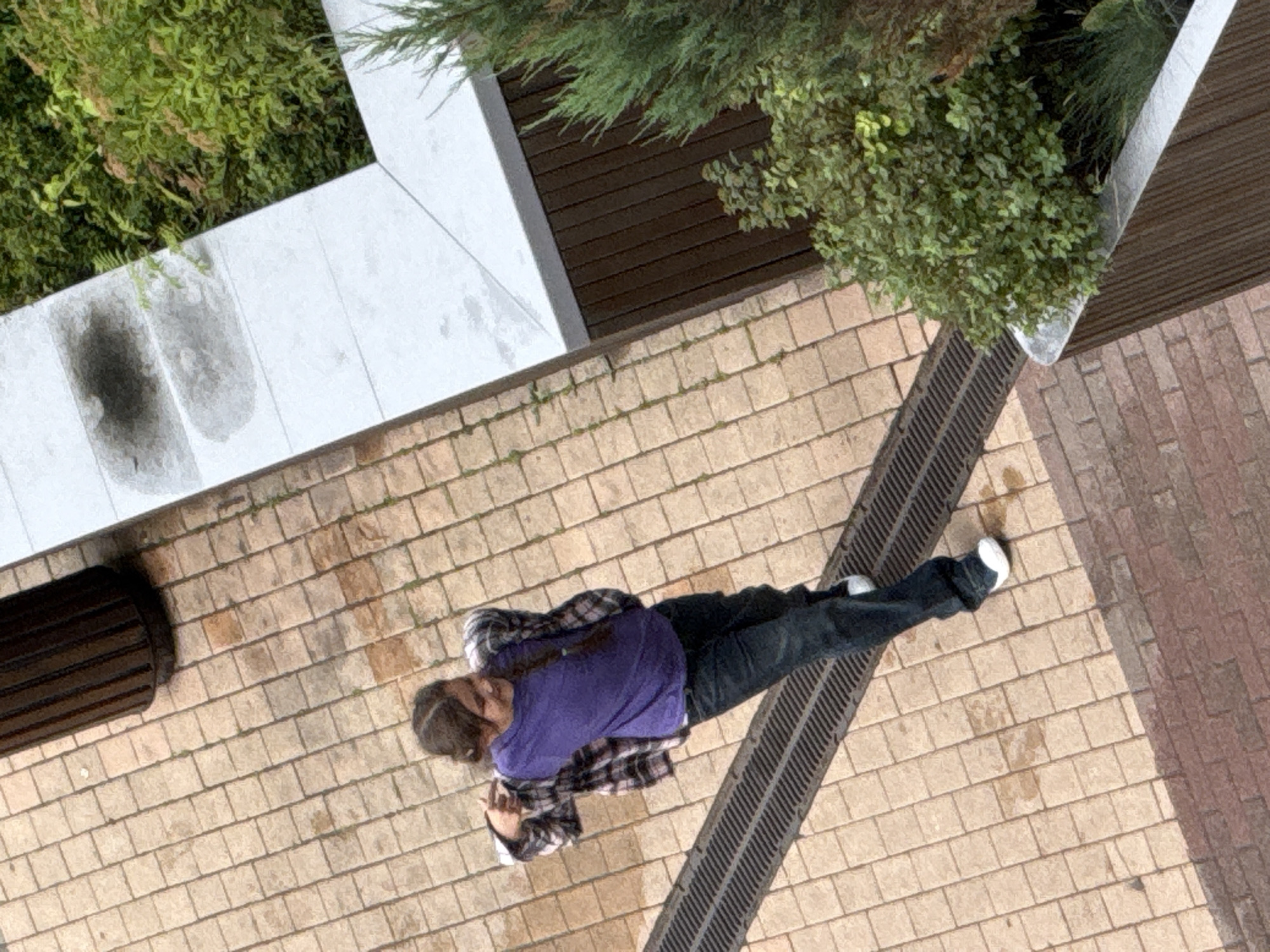 A young female is captured from a high angle in what appears to be an outdoor urban setting. She is standing on a paved surface made of rectangular tan bricks. She has long, dark brown hair styled in a braid that falls over her shoulder. She is wearing a purple t-shirt and an unbuttoned plaid shirt with pink, black, and white colors. Her pants are dark denim jeans, and she is wearing white sneakers. The girl is smiling and appears to be in motion, with her arms extended slightly and her body turned.
Adjacent to the brick paving is a dark metal grate running horizontally. Beyond the grate, a modern architectural element is visible, featuring light-colored concrete slabs with visible water stains, suggesting it may have recently rained. To the right of the concrete structure, there is dense green foliage, and a darker wooden planked wall is present. In the upper left quadrant of the image, a dark, ribbed cylindrical object, possibly a trash receptacle, is visible on the brick pavement. The overall environment suggests a well-maintained public space, possibly a park or a walkway within a city. The image is taken on a cloudy or overcast day. There is no specific indication in the image to suggest the location is Moscow, Russia.