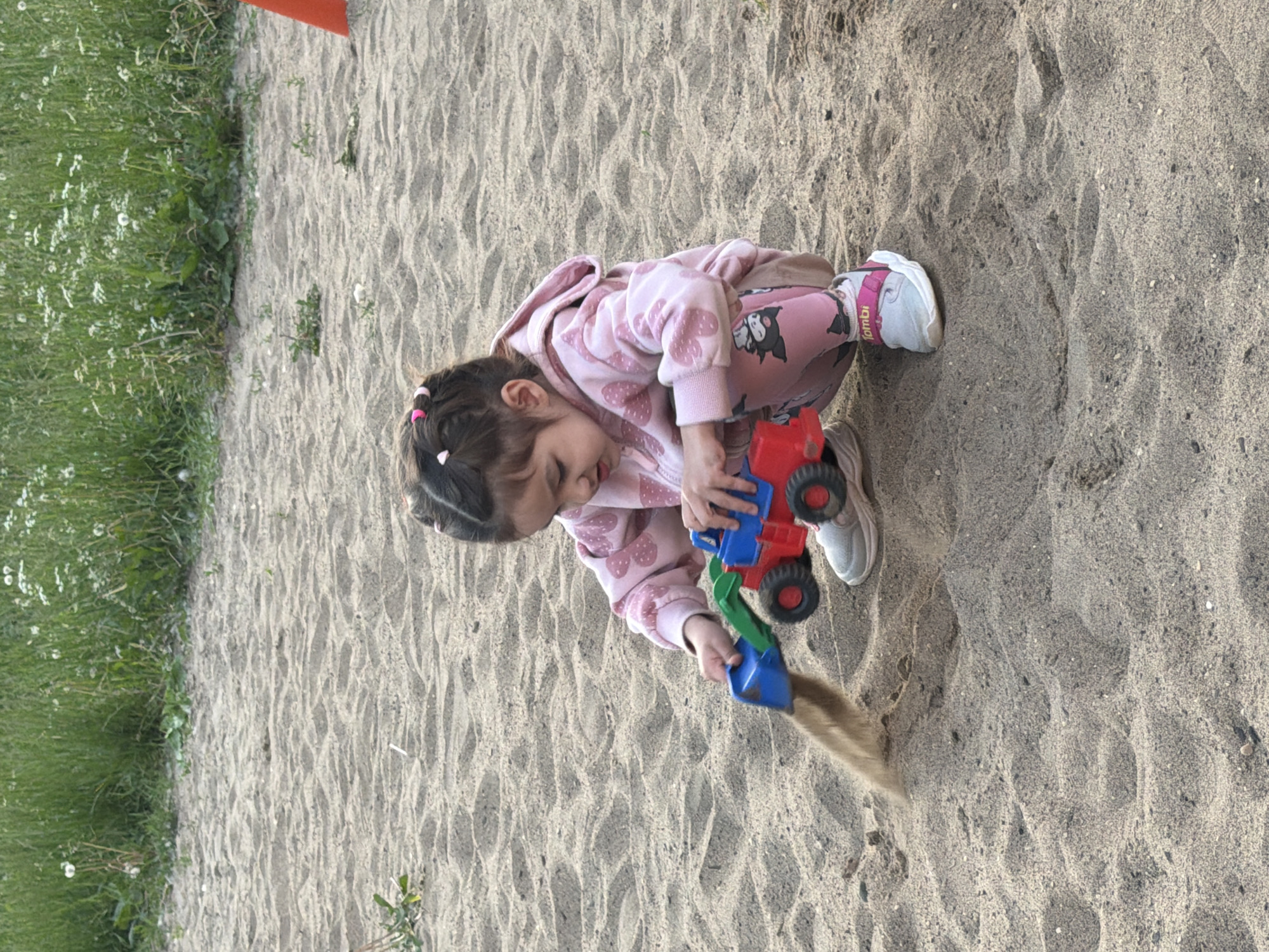 A young child, likely female, is captured in a close-up, high-angle shot, intently playing in a sandy area in Chaikovsky, Russia. The child is wearing a pink hooded sweatshirt adorned with white patterns (possibly hearts or strawberries) and matching pink leggings featuring black and white cartoon characters (resembling Kuromi). Light-colored shoes with pink straps, one partially showing the brand "TOMBI," cover her feet. Her dark hair is styled in small pigtails, secured with pink hair ties.
The main activity shows the child focused on manipulating a red and blue toy truck or digger, with sand visibly being scooped or poured from its blue bucket. Her expression suggests concentration and engagement in her play.
The scene is set outdoors on a bright day, indicated by clear lighting and soft shadows. The ground consists primarily of light-colored sand, exhibiting subtle ripple patterns, bordered on the left by a strip of lush green grass interspersed with small white flowers. A small, partially visible orange object, possibly a marker or cone, is at the top left edge of the frame. The overall atmosphere conveys a peaceful and joyful moment of childhood play.