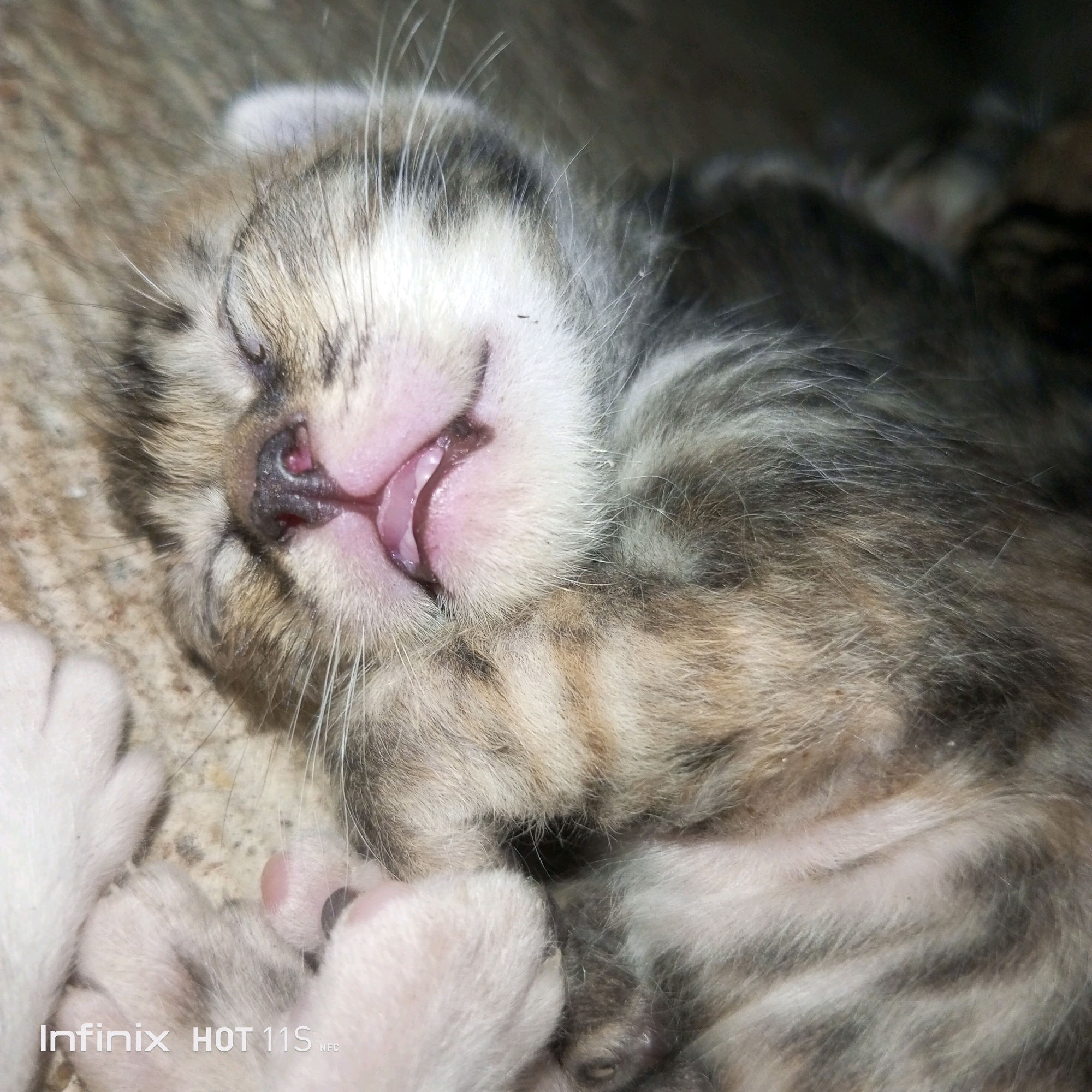 A close-up, low-angle shot captures a tabby kitten sleeping on a textured, light-brown surface. The kitten's eyes are closed, its mouth is slightly open with its pink tongue visible, and its whiskers are prominent. Its paws are visible in the foreground, one resting on top of the other. The background is dark and blurred, showing indistinct shapes of what appears to be another kitten or cat. The "Infinix HOT 11S NFC" watermark is present in the bottom left corner. The scene is devoid of human presence and activity, focusing solely on the sleeping kitten. The image does not provide any information that would allow for determination of its location in Sukaslamet, Indonesia, or any urban context.