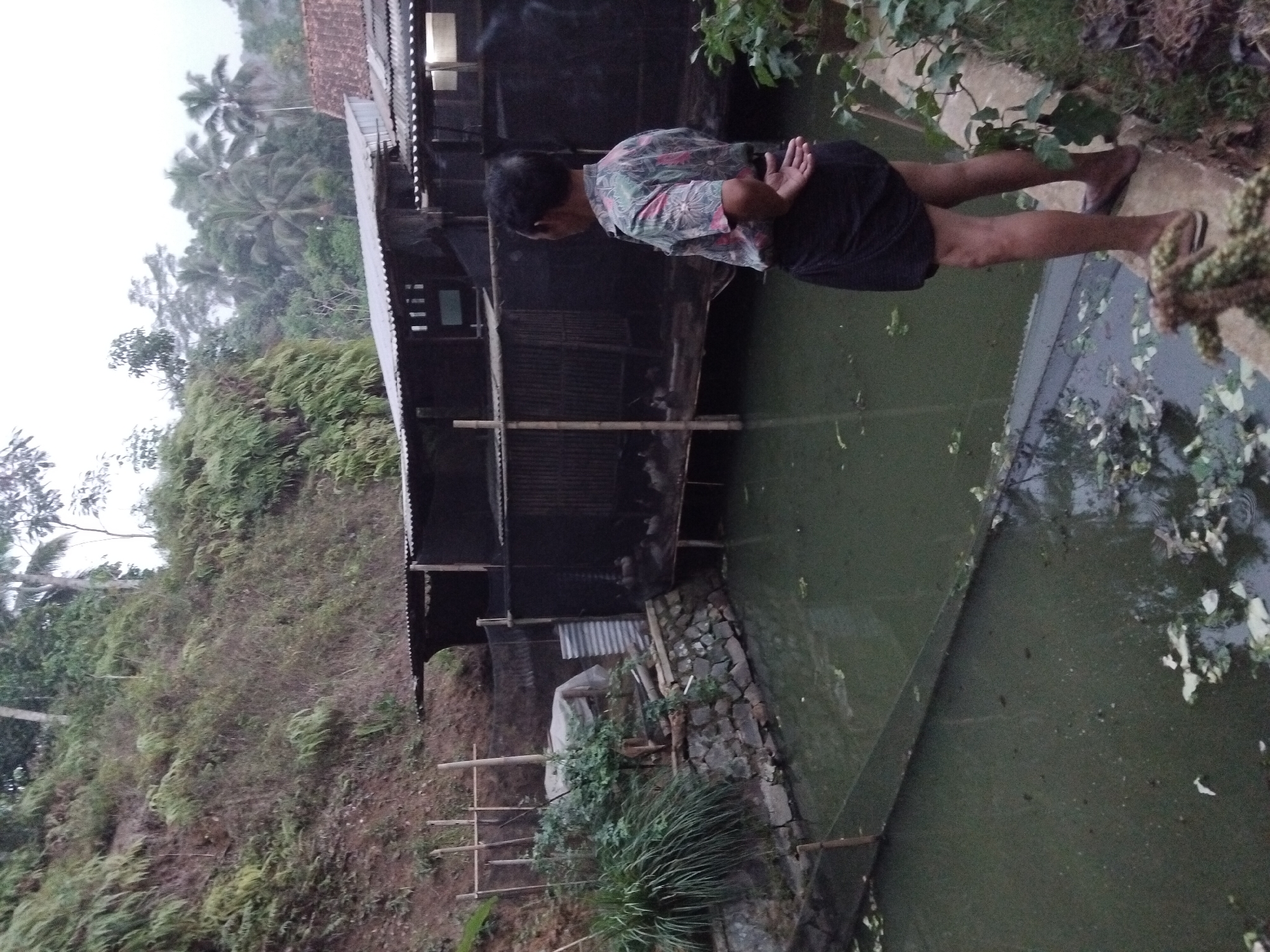 A man stands on a concrete ledge overlooking a pond in Sambirata, Indonesia. The pond is murky green and filled with floating debris. Behind the pond is a structure made of corrugated metal and bamboo, likely an animal enclosure, with black netting and some caged animals visible inside. A steep, vegetated hillside rises behind the structure. The scene appears to be outdoors in a rural or semi-rural setting, possibly during overcast weather given the lighting.
