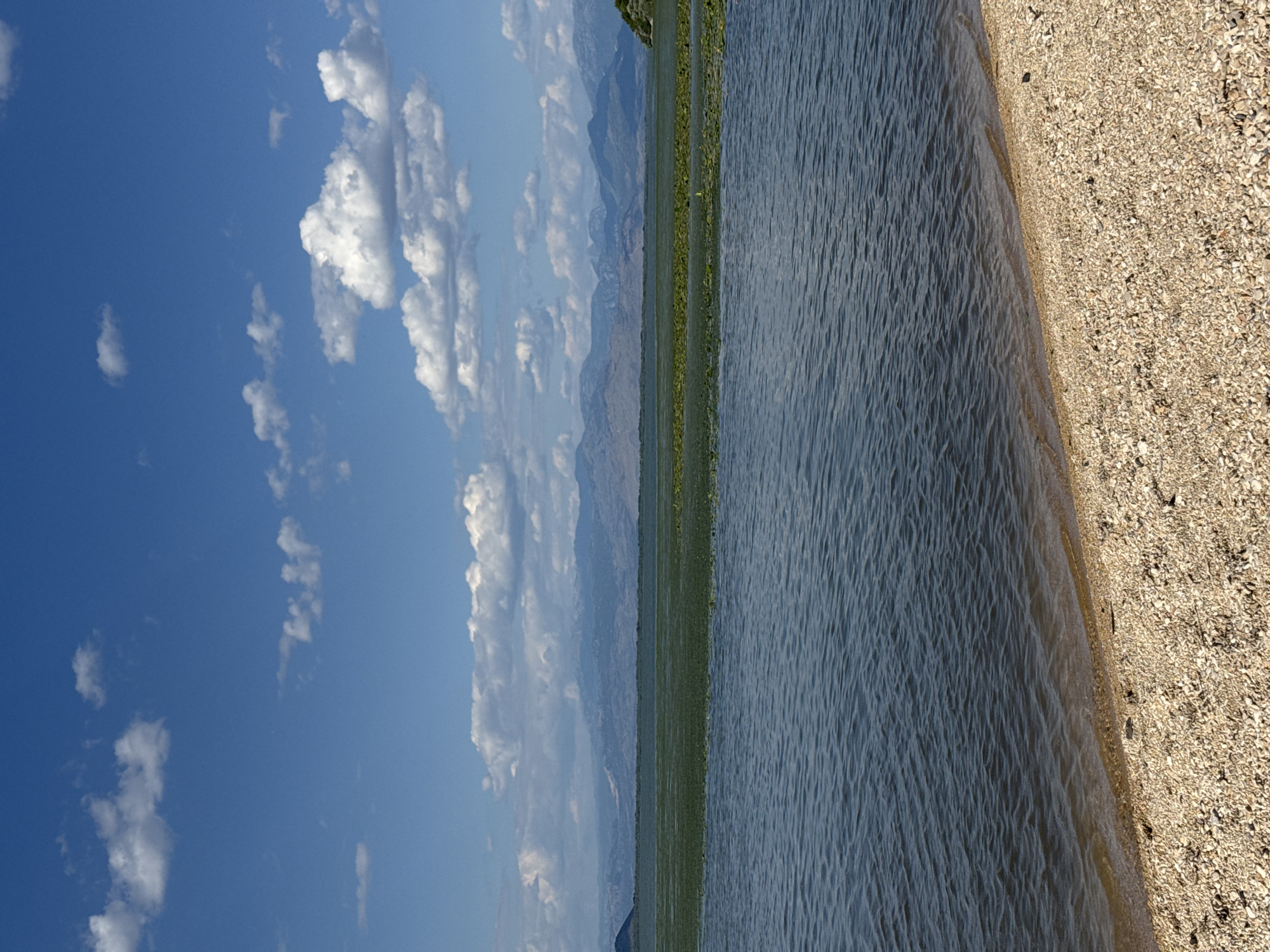This is a vertical, eye-level, medium shot of a calm body of water in the city of Seoca, Montenegro. In the foreground, a pebble beach slopes down to the water's edge. The water itself is a deep blue with subtle ripples. Beyond the water, there is a dense band of green vegetation, likely lily pads, followed by a hazy, greenish-blue expanse of water. In the distance, a range of low, muted blue mountains stretches across the horizon, softened by atmospheric haze. The sky above is a vibrant blue, dotted with scattered white cumulus clouds. The scene is devoid of people and any discernible objects beyond the natural elements.