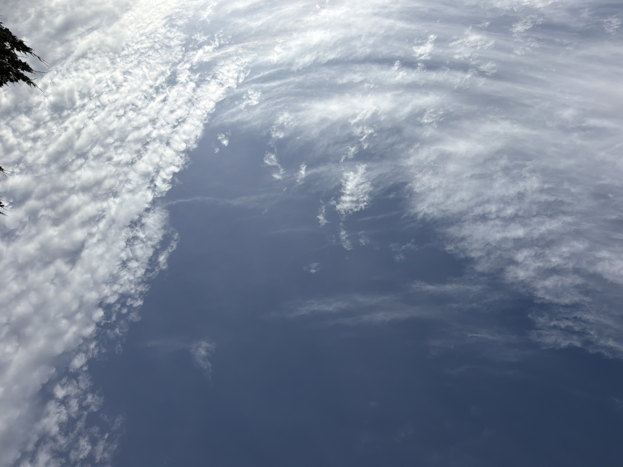 The image captures a wide view of the sky over Riverhead, United States of America. The sky is a deep blue, transitioning to a lighter shade towards the upper right quadrant. The majority of the sky is filled with a variety of clouds. In the upper half of the image, dense, patchy clouds dominate, with a texture resembling cotton. These clouds are bright white, indicating they are well-lit by the sun. As the clouds move towards the lower half of the image, they become more wispy and elongated, forming streaks that stretch across the sky. Some of these streaks are thin and feathery, while others are broader and more diffused. The overall impression is of a dynamic and ever-changing cloudscape. At the very top right corner of the image, dark, branch-like structures, possibly tree branches, are visible, providing a hint of the surrounding environment. No people or specific structures are visible within the frame.