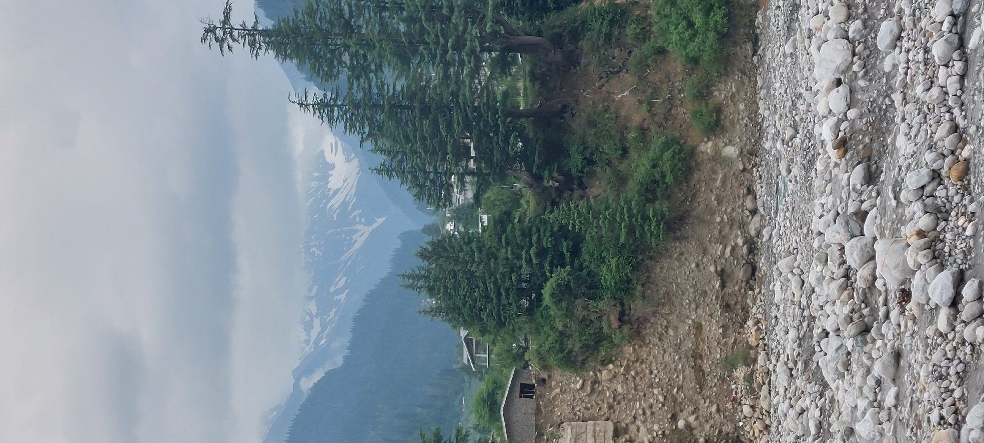 The image depicts a mountainous landscape in Vashisht, India, with a prominent riverbed in the foreground filled with various sizes of grey and white stones. A small, stone-built structure with a dark-colored roof is visible on the left side of the frame, situated on a rocky embankment covered with green vegetation. Behind this structure, a cluster of tall, dark green coniferous trees dominates the midground, with a few houses and other buildings nestled amongst them. Further in the background, a majestic mountain range rises, its peaks partially covered in snow and shrouded in a cloudy sky. The overall impression is one of a serene, natural setting, likely a rural or semi-rural area in the Himalayas.
