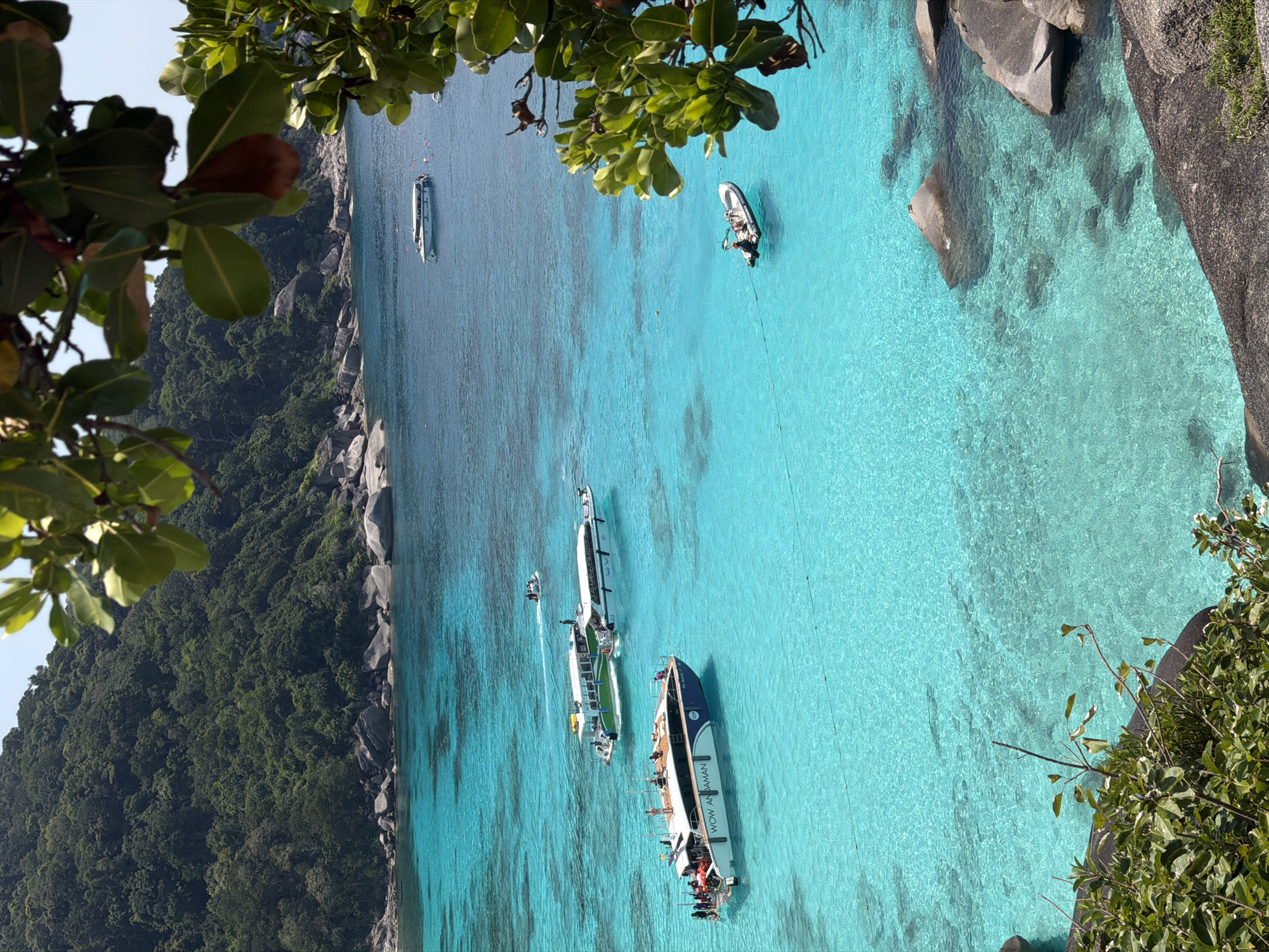 The image, captured from an elevated vantage point, depicts a section of the Similan Islands, a marine national park off the coast of Lam Kaen, Thailand. The scene is dominated by exceptionally clear, turquoise-to-deep-blue ocean water, bordered by a steep, lushly forested landmass on the left and upper background. This landmass is characterized by dense green foliage and numerous large, smooth grey granite boulders along its base and partially submerged in the water.
Five distinct vessels are present in the water. In the mid-left, a large white and blue passenger speedboat, branded "WOW ANDAMAN," is stationary. Approximately 15-20 individuals are visible on its main and upper decks. To its right and slightly further back, two additional white passenger speedboats are positioned; one features green trim and "Similan Tour" branding, while the other is predominantly white with "Similan Tour" text on its side. Multiple individuals are observed on the decks of these boats and in the surrounding water, indicating recreational activities such as swimming or snorkeling. Further to the right, a small white rigid-hulled inflatable boat (RIB) with an outboard motor contains two occupants. In the upper-right background, a smaller, mostly white boat is anchored.
The immediate foreground and the right edge of the frame are partially obscured by unfocused green leafy branches. The sky above is clear and light blue, indicating daylight conditions.