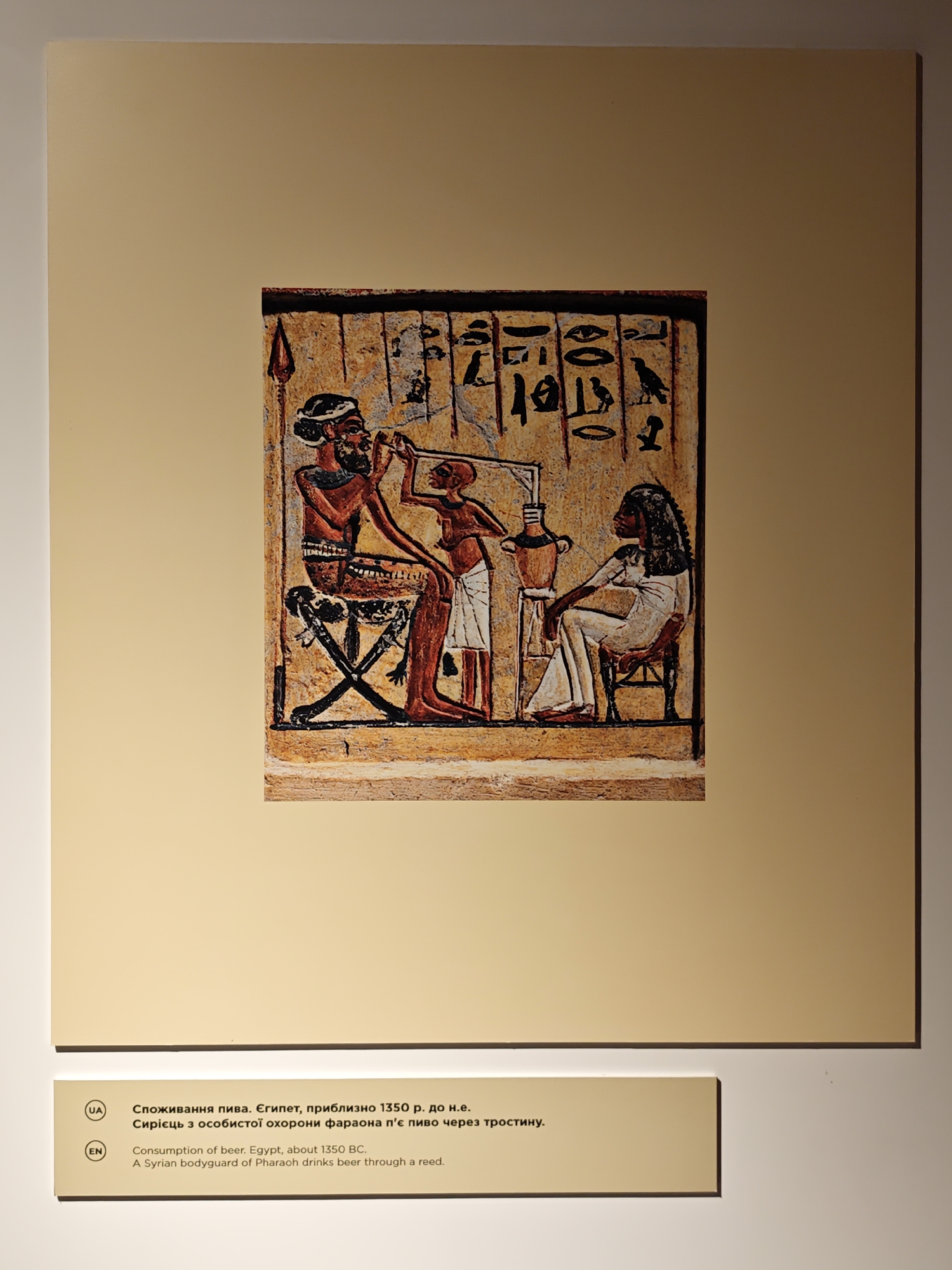 This image shows a framed print of an ancient Egyptian fresco depicting two figures. On the left, a bearded man with dark hair and a red garment is seated on a stool and appears to be drinking from a vessel through a reed. He has a spear next to him. To his right, a woman with dark hair and a white robe is seated on a chair, also holding a vessel with a straw. Hieroglyphics are visible on the wall behind them.
Below the fresco, a light beige placard displays text in Ukrainian and English. The Ukrainian text reads: "Споживання пива. Єгипет, приблизно 1350 р. до н.е. Сирієць з особистої охорони фараона п'є пиво через тростину." The English text reads: "Consumption of beer, Egypt, about 1350 BC. A Syrian bodyguard of Pharaoh drinks beer through a reed."
The print is mounted on a larger, pale yellow board, which is then displayed against a white wall. The overall presentation suggests an exhibit, possibly in a museum or gallery. Given the presence of Ukrainian text and the context of Ukrainian cultural institutions, this exhibit could be located in Lviv, Ukraine, likely within one of its museums.