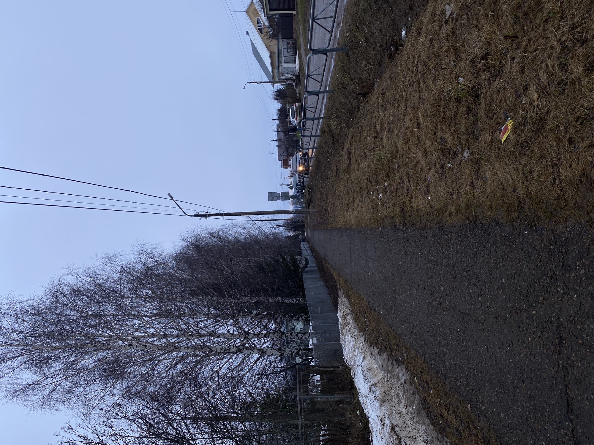 The image depicts a sidewalk in Прикамский, Russia. The sky is overcast. The sidewalk, made of dark asphalt, is lined on one side with a metal guardrail separating it from a road with parked and moving vehicles. On the other side, a bank of dry, brown grass and some lingering snow are visible. Bare trees are present along the sidewalk. Utility poles and wires run along the street. In the distance, buildings are visible.