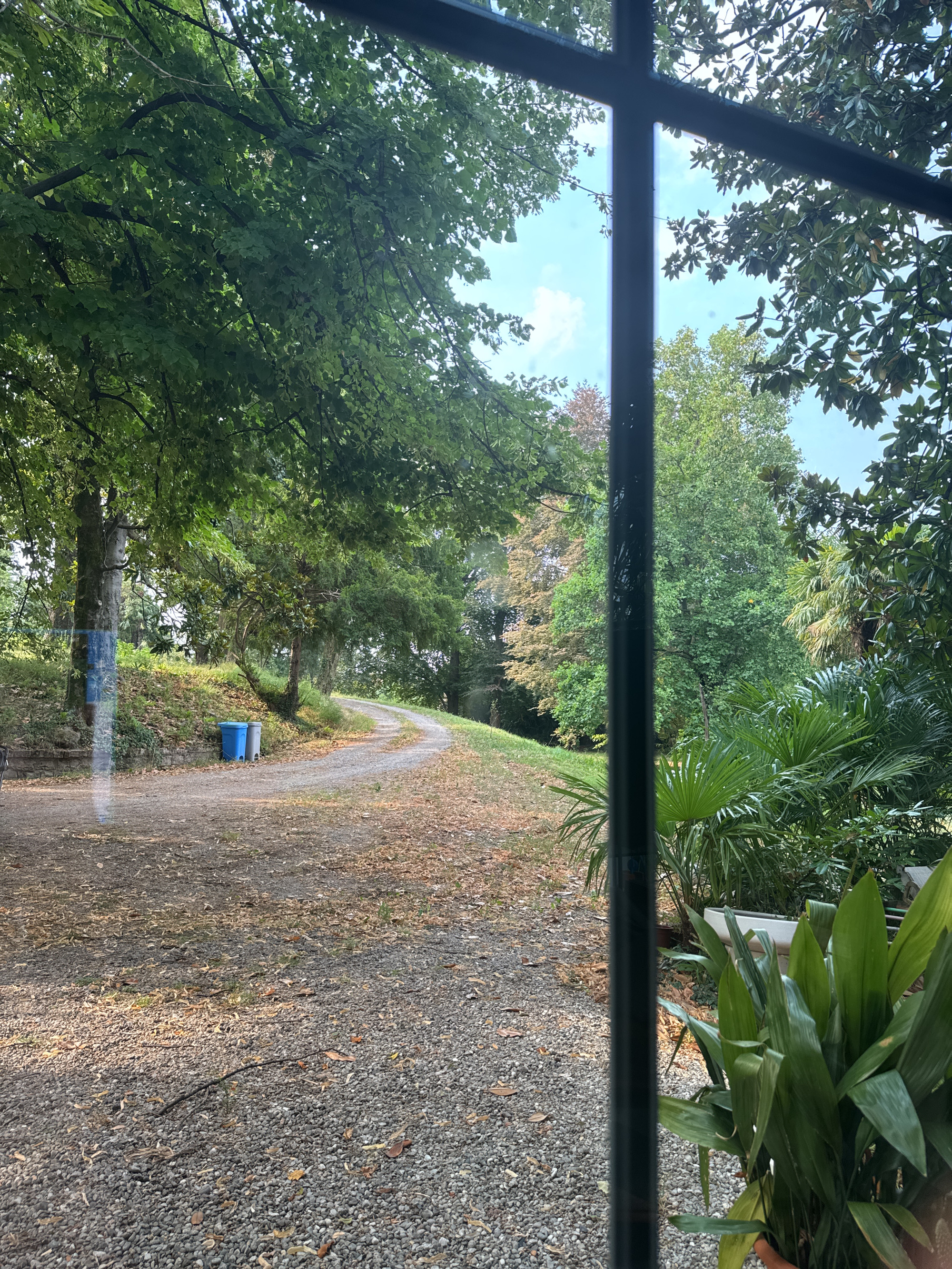 The image shows a gravel path winding through a garden or park area, framed by dark vertical bars suggesting a window or enclosure. Lush green foliage, including trees and palm-like plants, dominates the scene. Two blue and grey trash receptacles are visible near the start of the path on the left. The path is covered with gravel and scattered fallen leaves. In the foreground on the right, large green leaves of a potted plant are prominent. The sky is visible through the trees, appearing light blue with some white clouds. The scene suggests an outdoor, possibly residential or public garden setting in Erba, Italy.